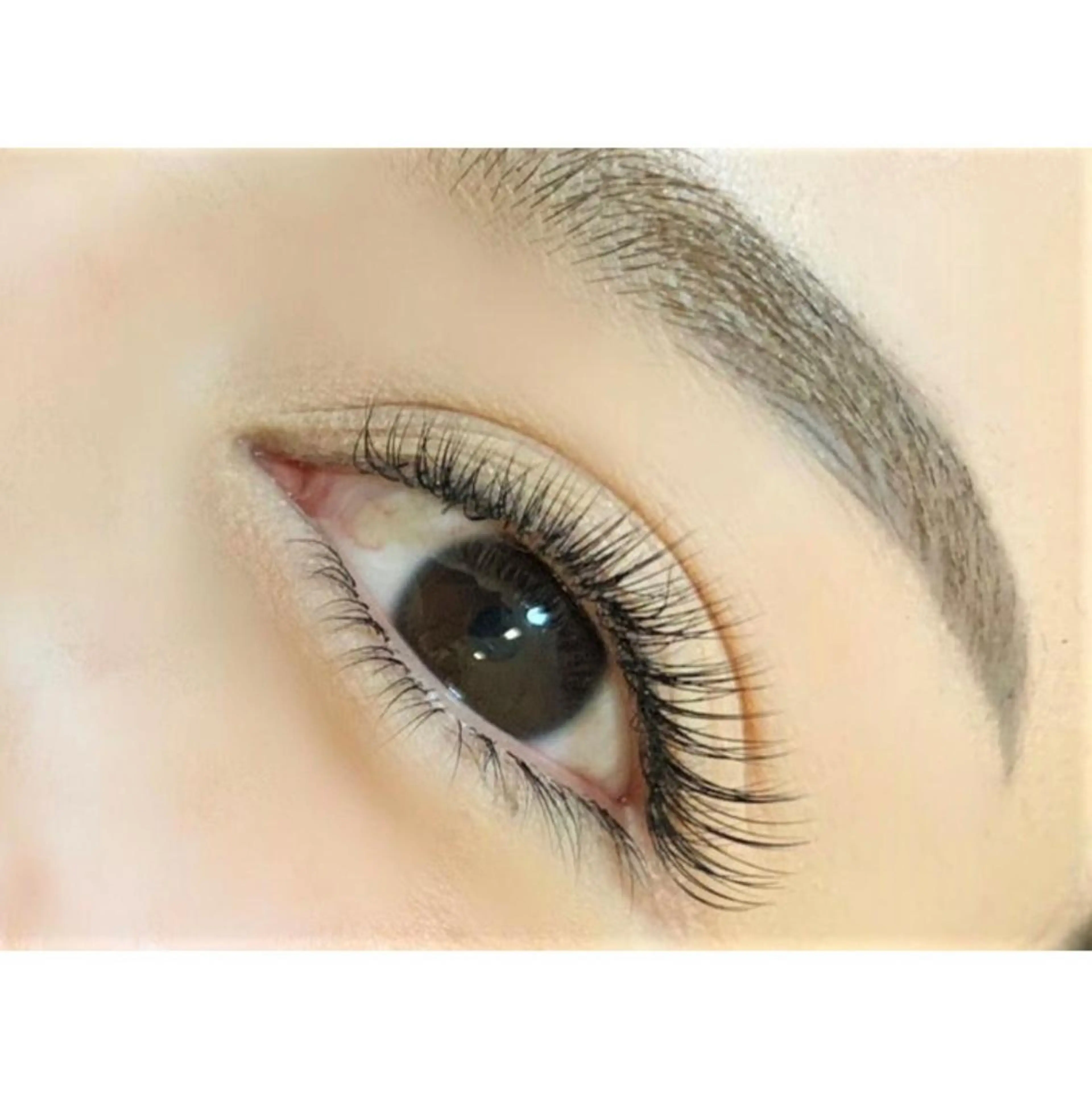 シングルエクステ(付け放題)の写真