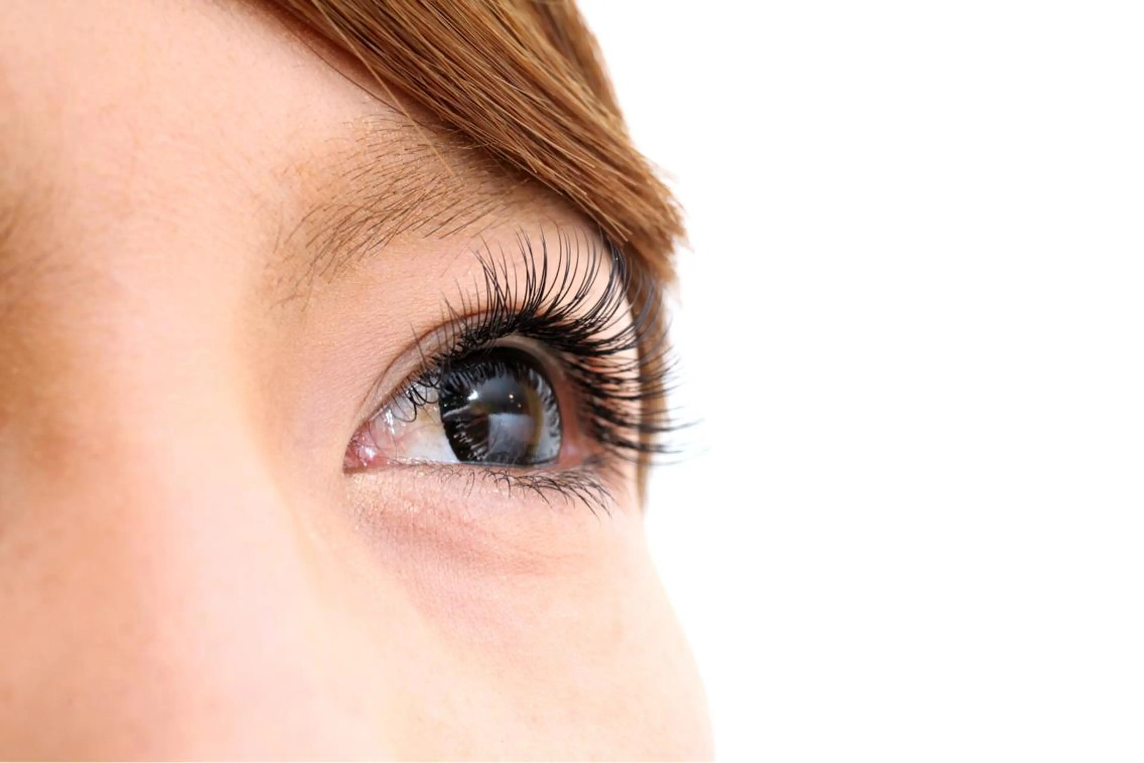 マツエク・マツパ セーブル R-LASH所属・R-LASH 六本松店のマツエク・マツパデザイン