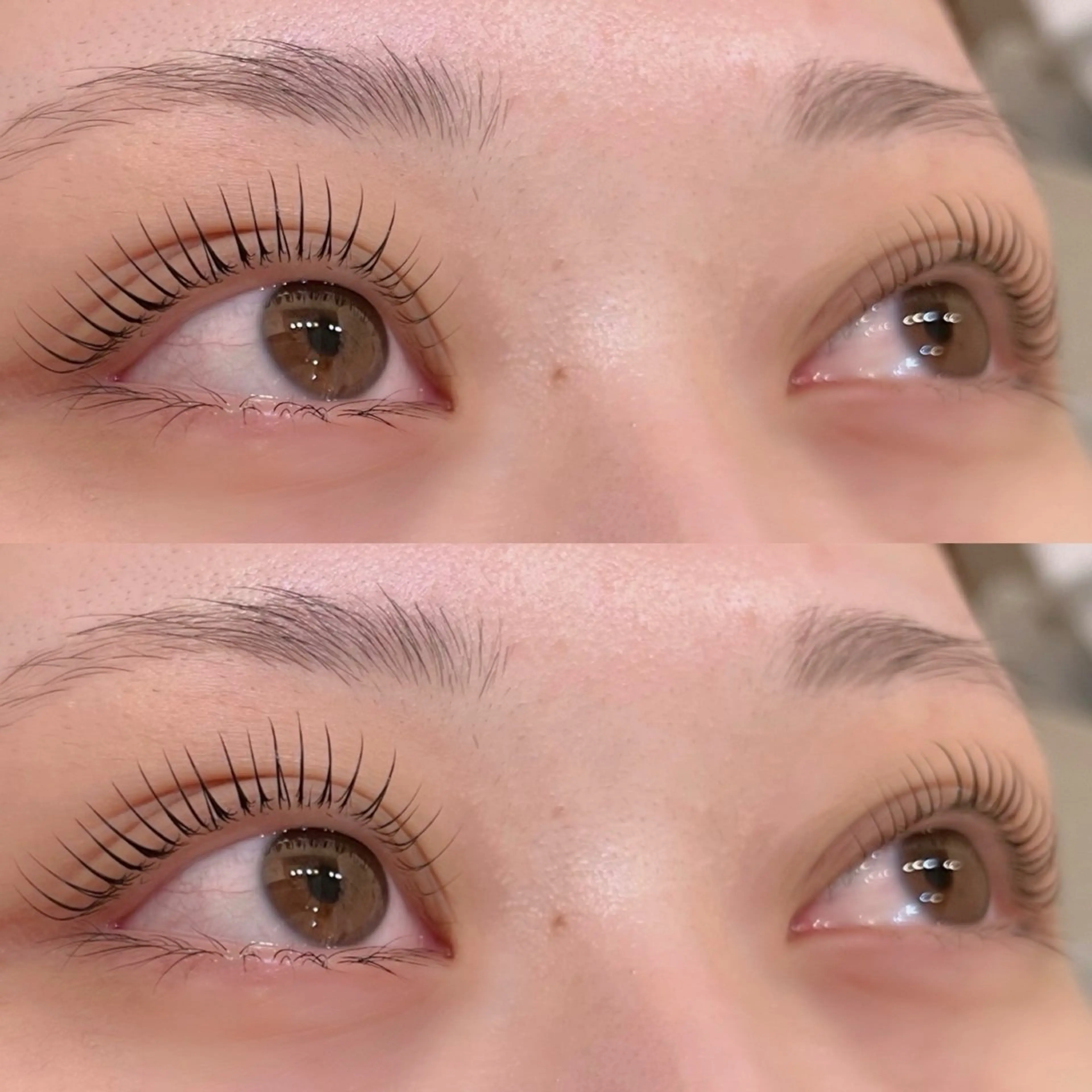 ãããšã¯ã»ããã Dã«ãŒã« ðððâð¬ CHARMçºç°ã®ãããšã¯ã»ããããã¶ã€ã³