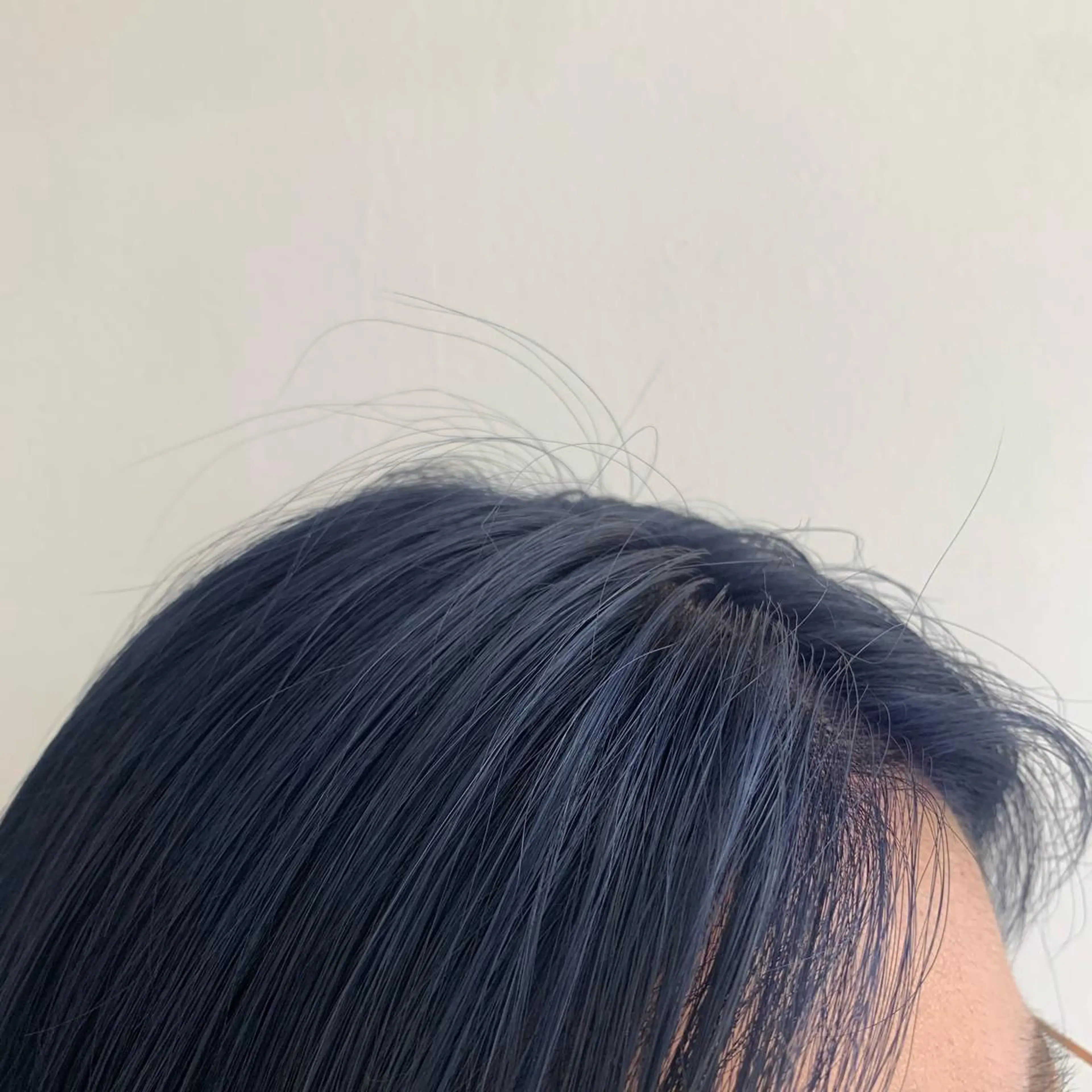 ショート カラー bob/ aoiのヘアスタイル