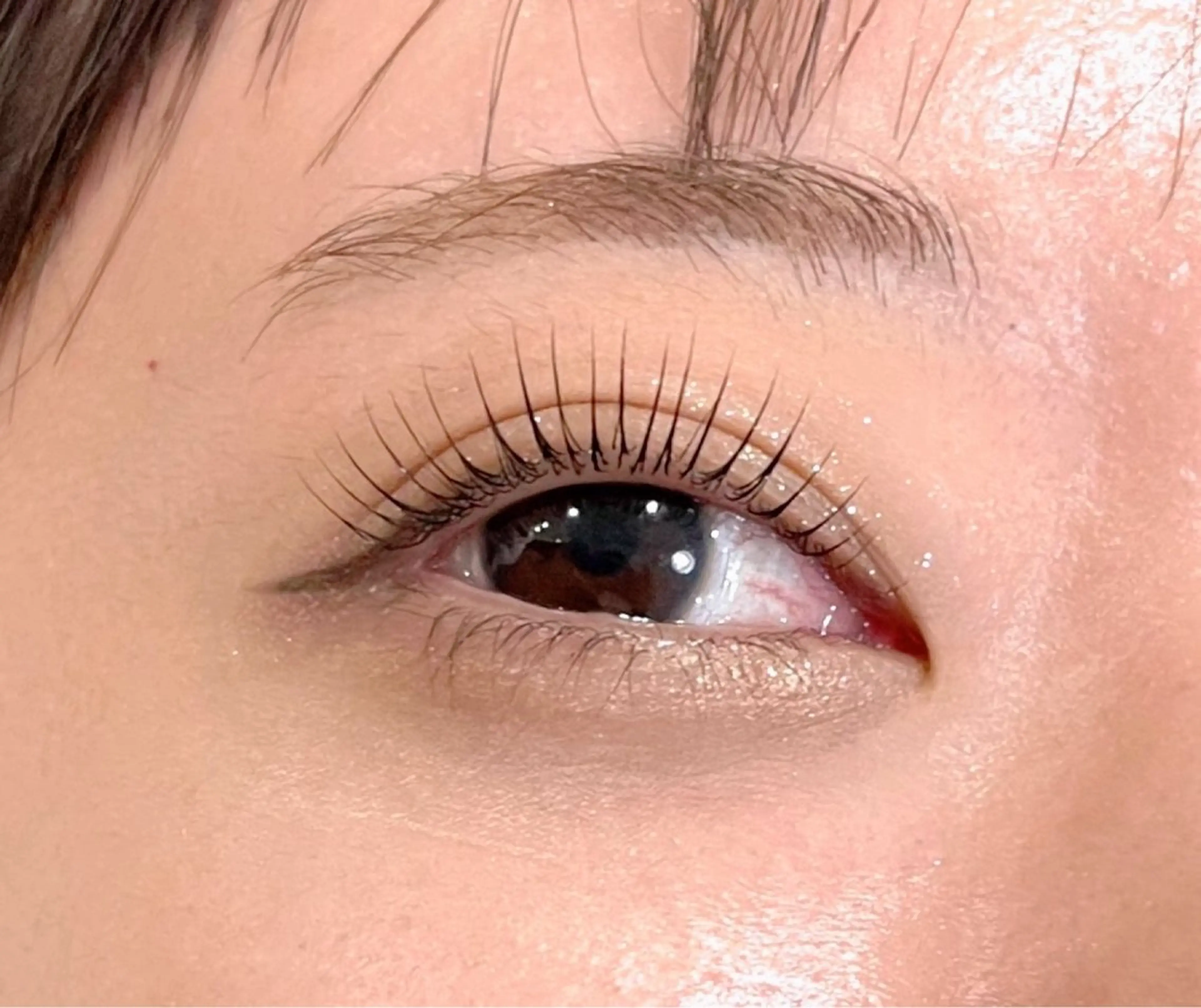 【✨ラッシュアディクト美容液付き✨】パリジェンヌラッシュリフト15000円の写真