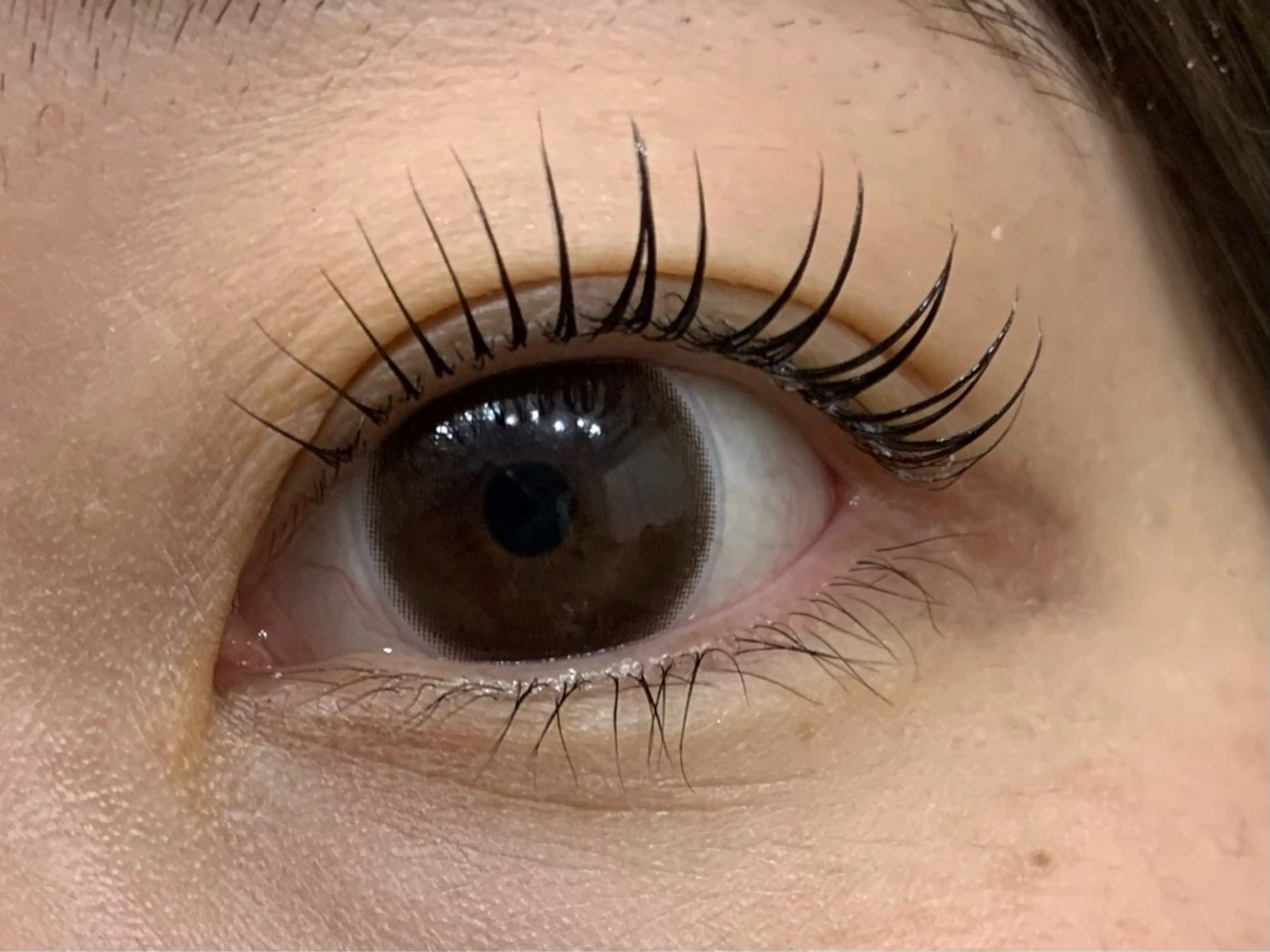 マツエク・マツパ MIZUKI🪽🫧 自由が丘🌷のマツエク・マツパデザイン