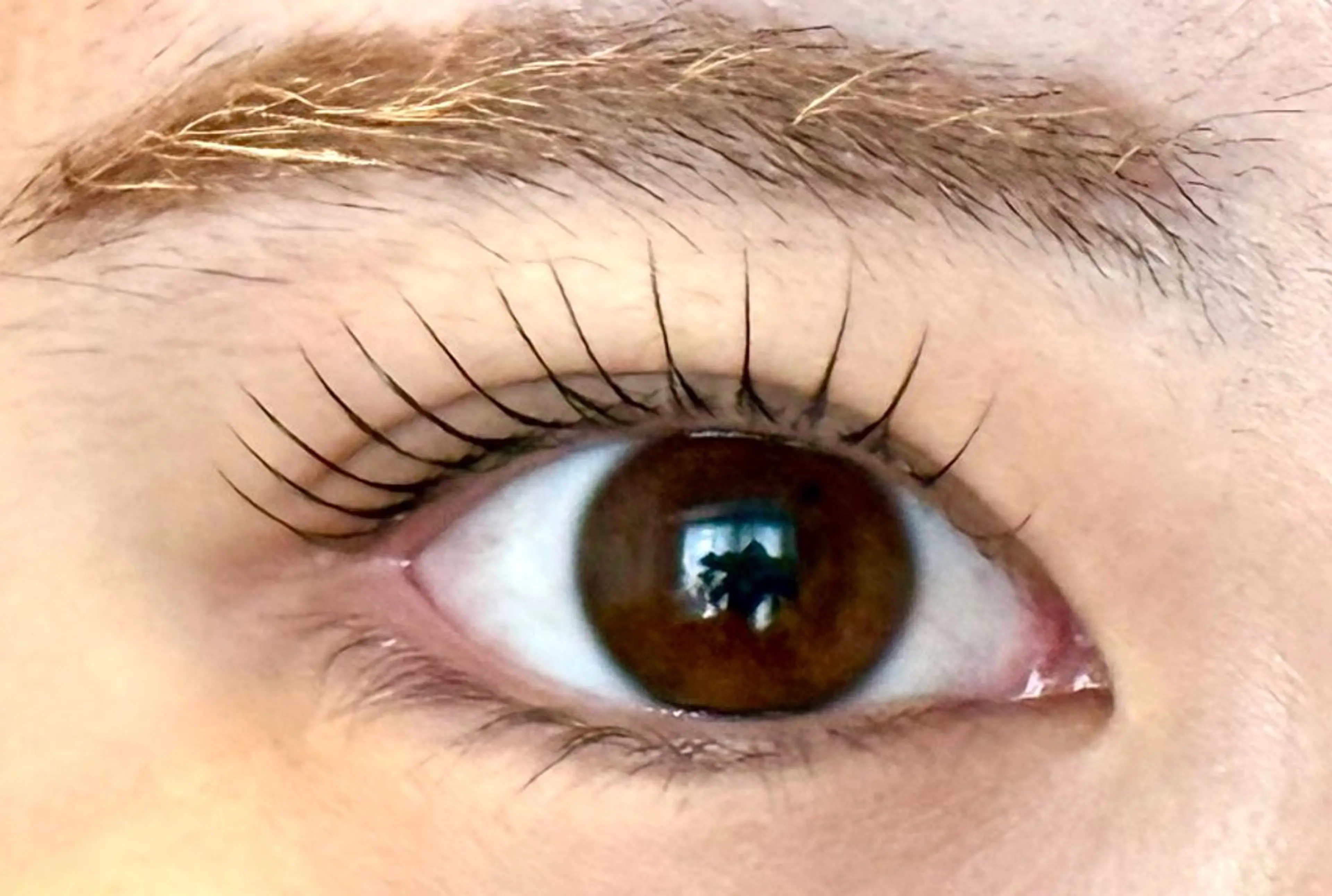 マツエク・マツパ Venus Beauty銀座のマツエク・マツパデザイン