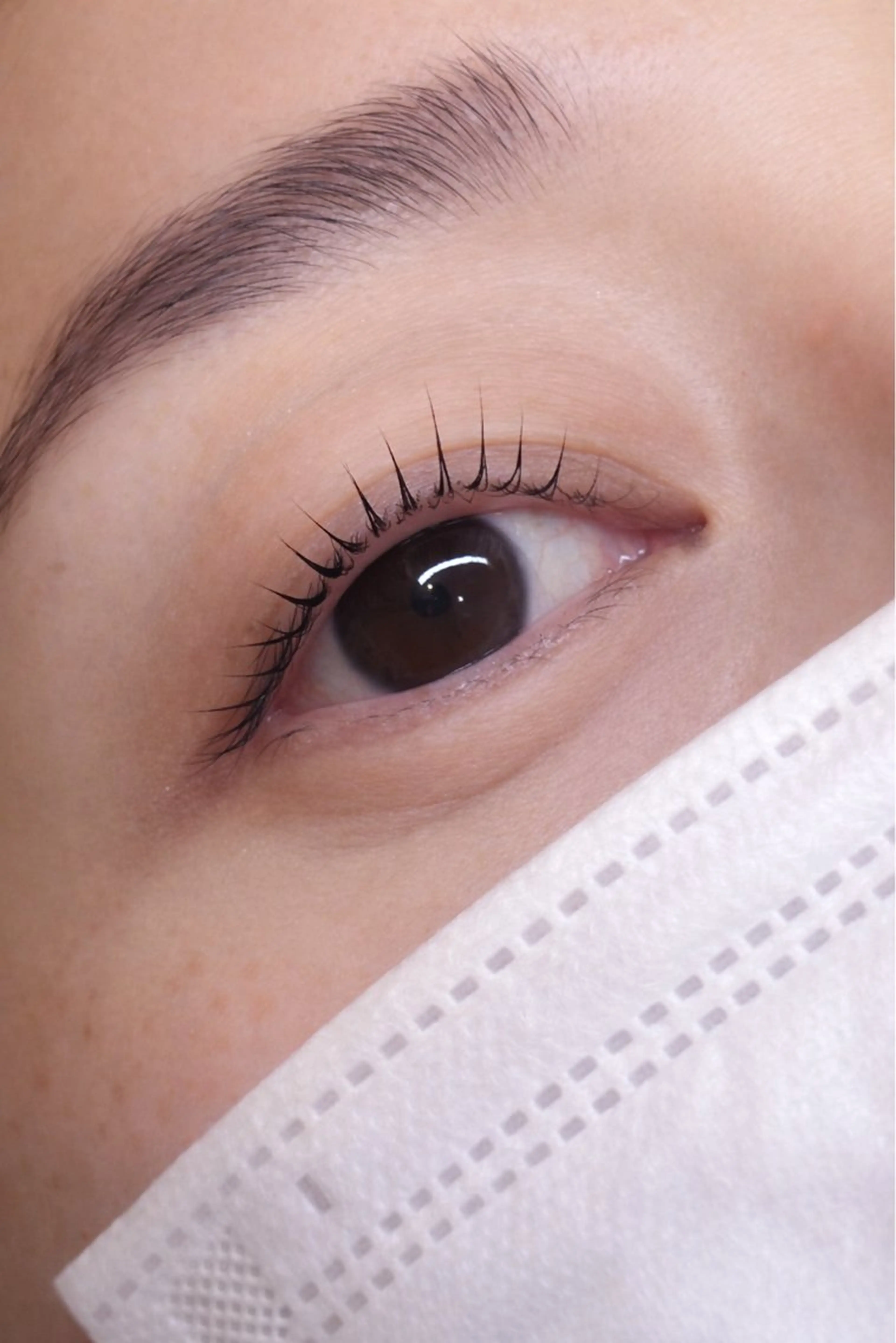 マツエク・マツパ ナチュラル マツパ 加藤 愛美のマツエク・マツパデザイン