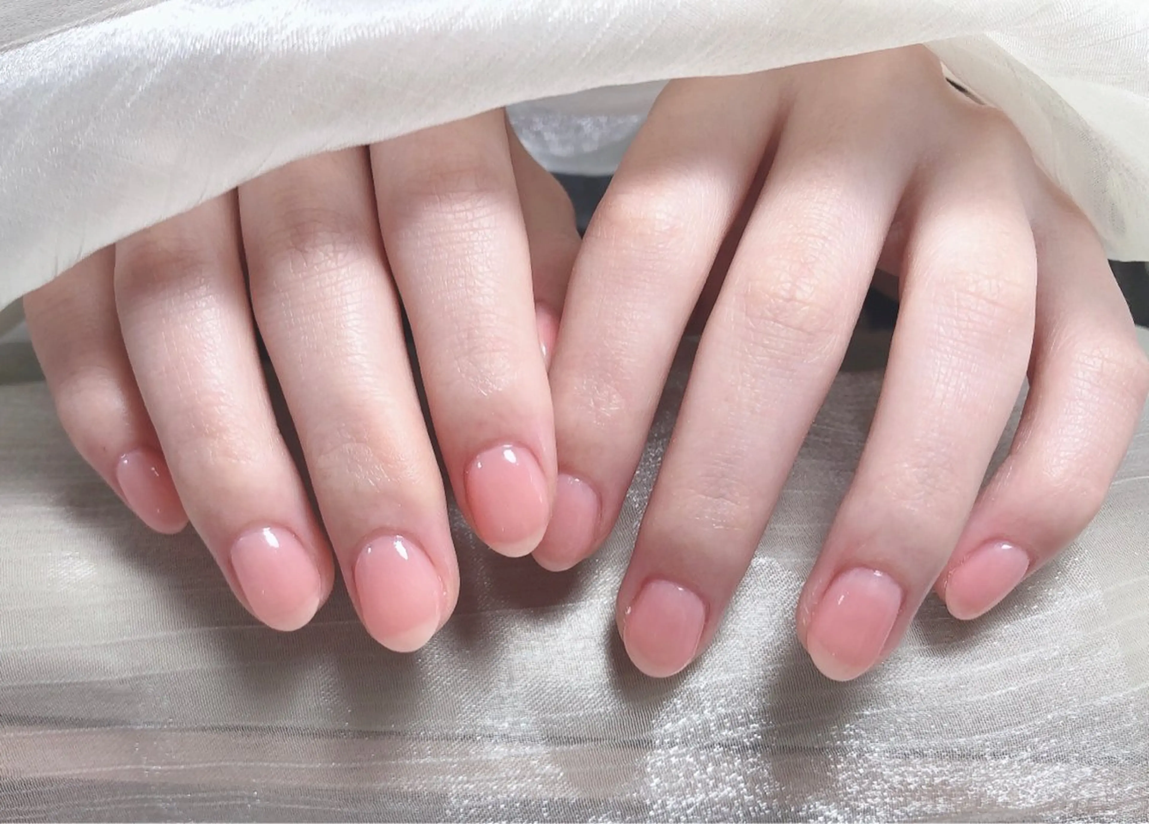 ワンカラーの写真