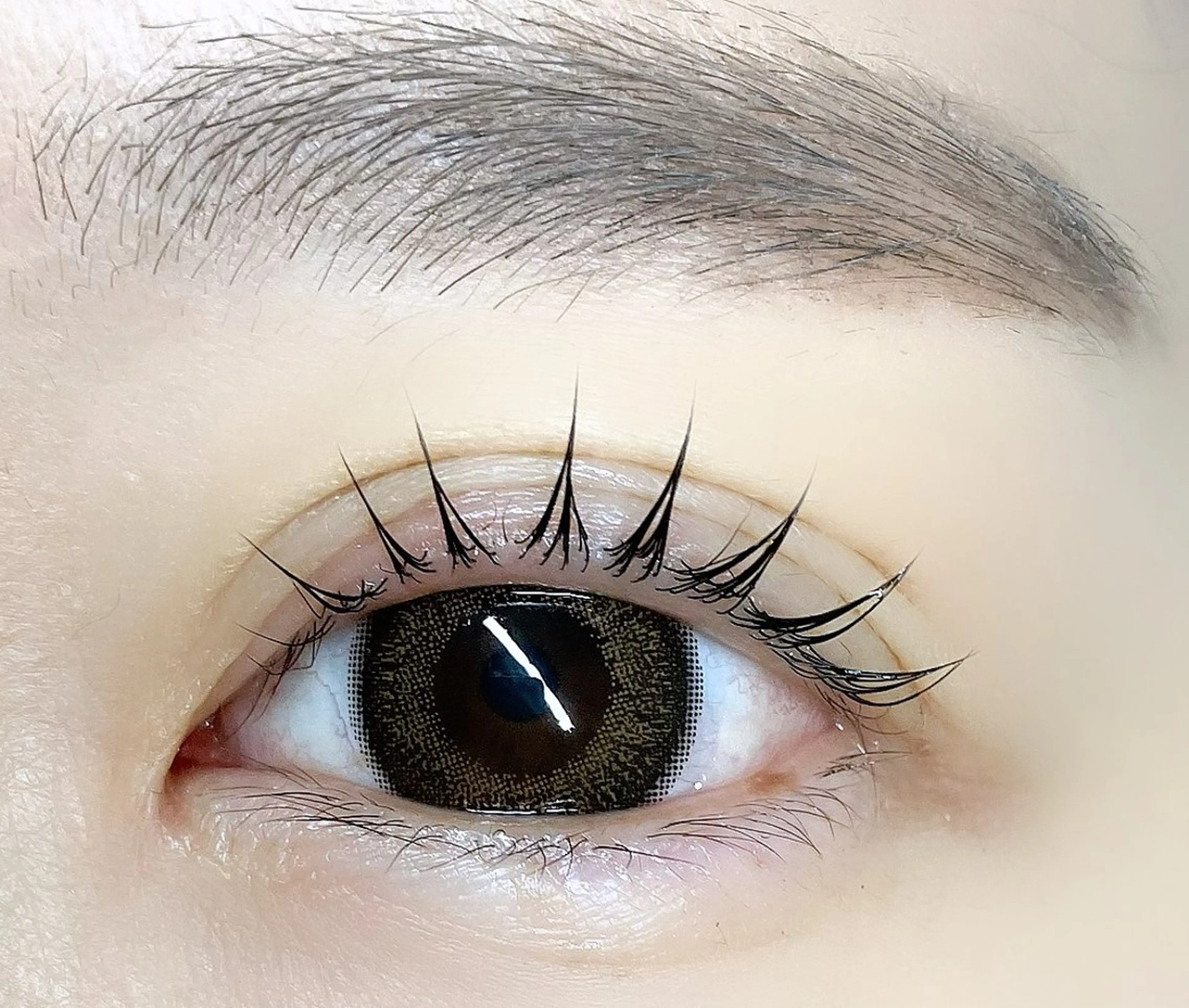 【アイシャンプー&美容液コーティング付】うるうる🥺まつげパーマ🩵💙の写真