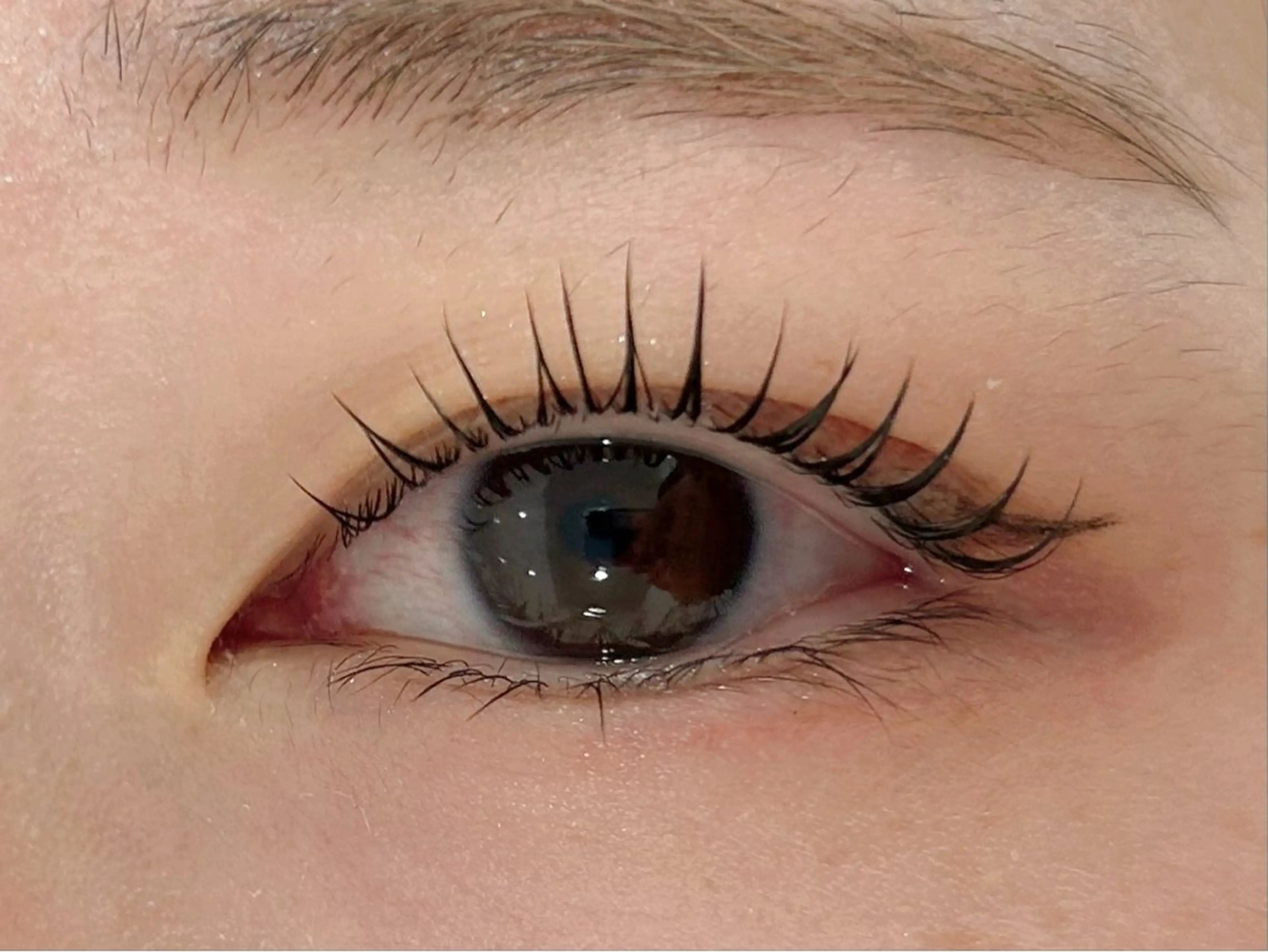 マツエク・マツパ eyelash&eyebrow Lupinus【ルピナス】所属・Lupinus 南草津店のマツエク・マツパデザイン