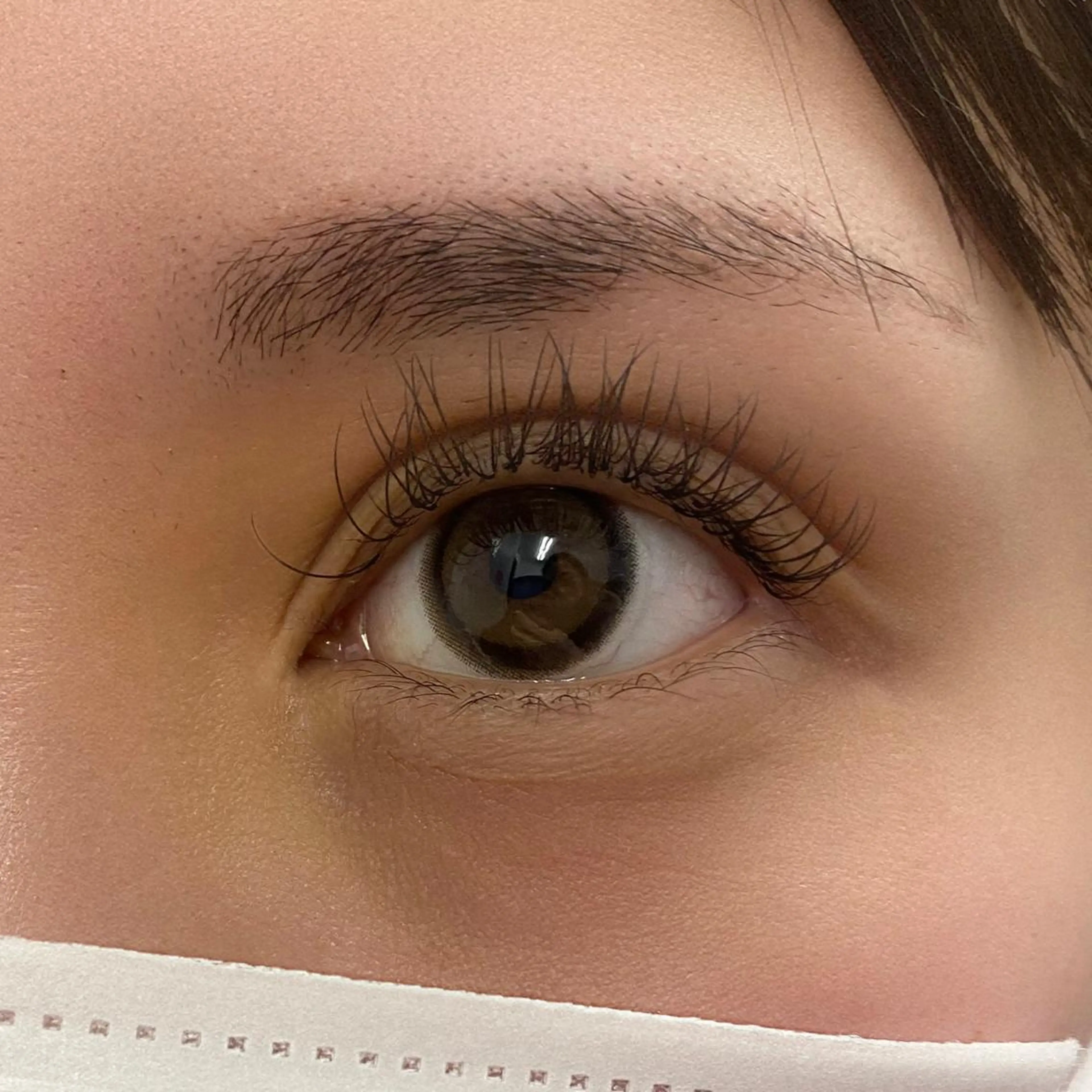 マツエク・マツパ Dカール Miyu🦄ash メンズカット/まつげのヘアスタイル