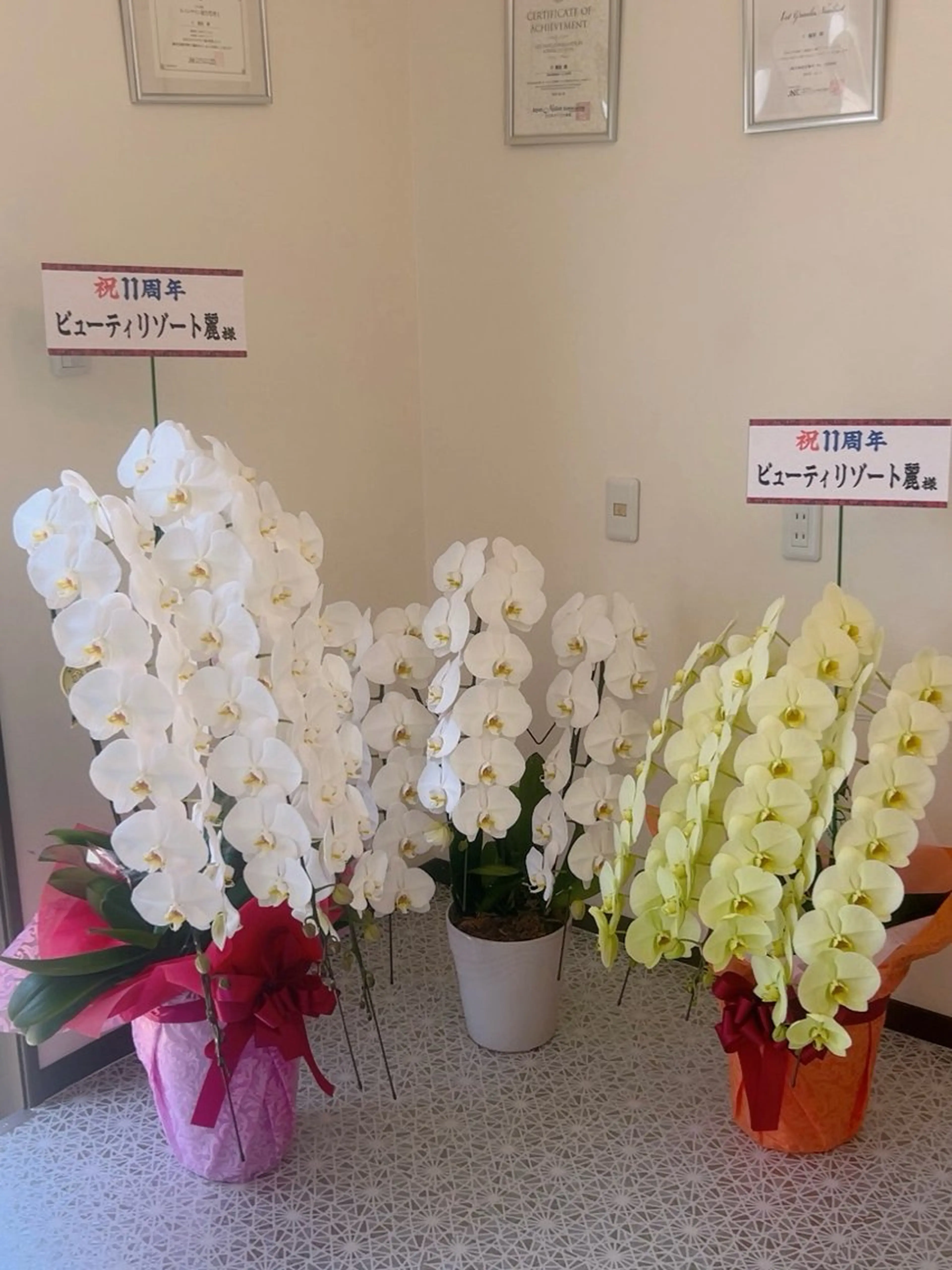 ビューティーリゾート麗所属・于 麗影のエステ・リラクイメージ