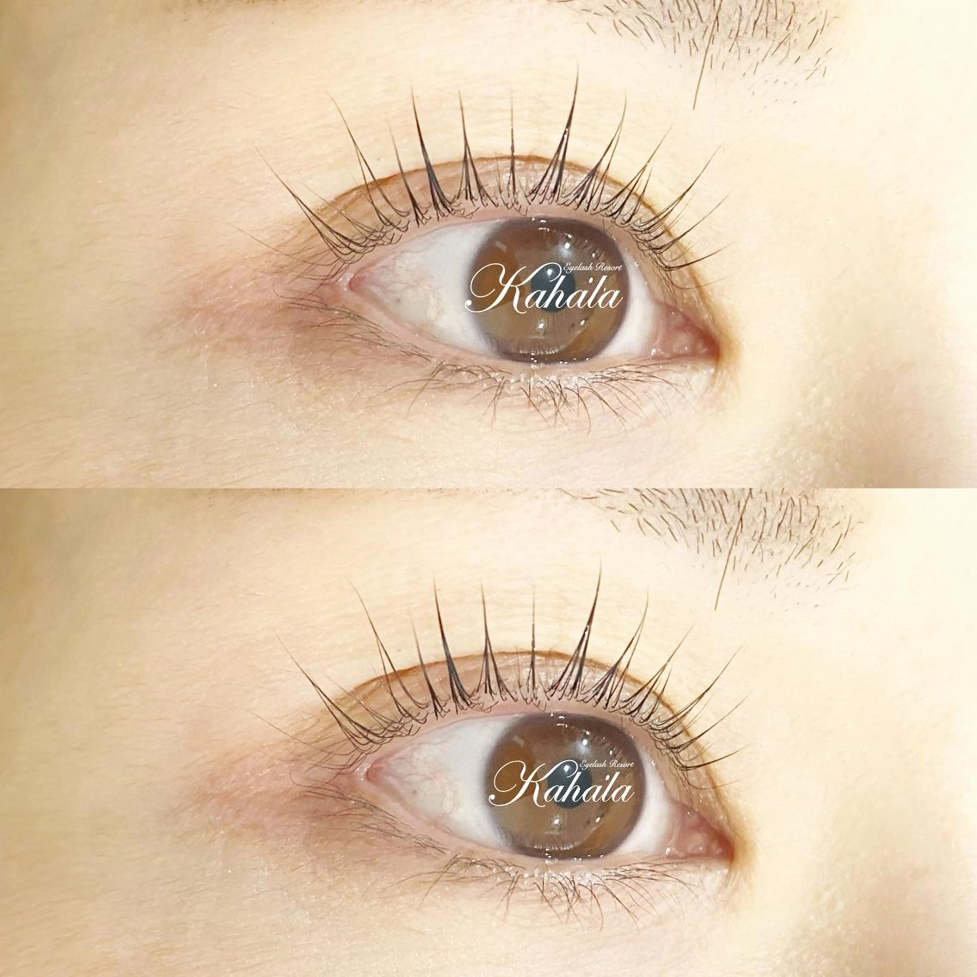 ミニモ限定🌟60分時短！ケアTRコーティング付き❣️パリジェンヌ上のみ※所要時間60分程※の写真