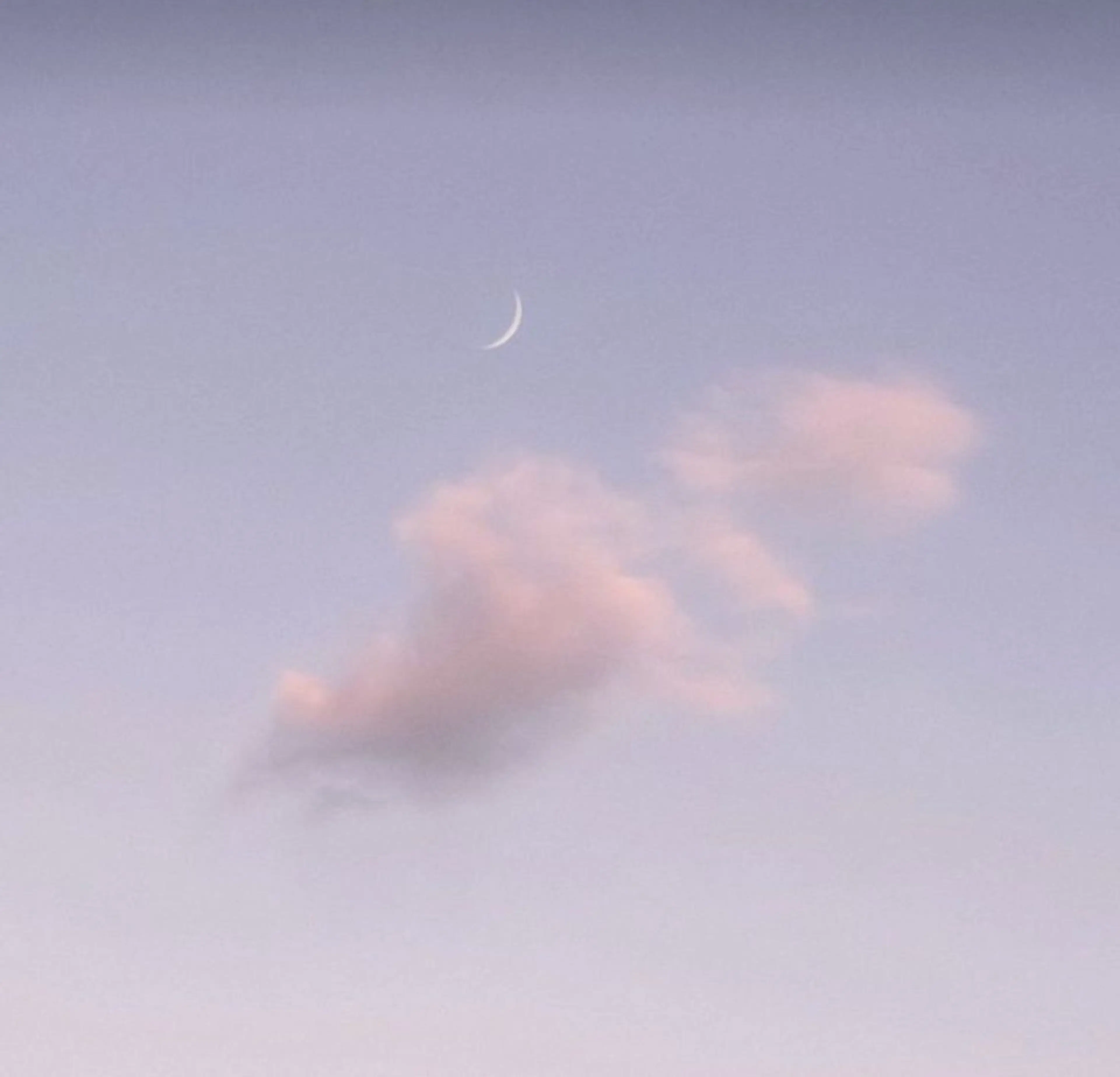 縮毛モデル募集中🫐 Ramu 🥣のヘアスタイル