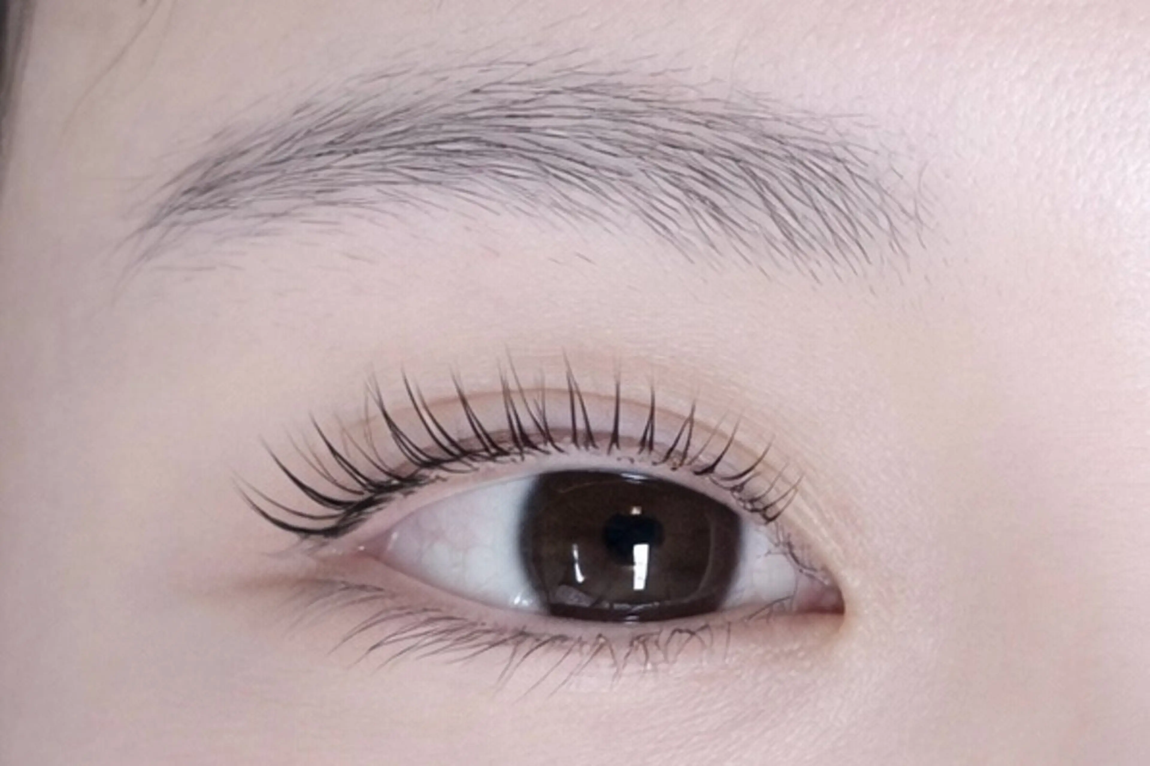 マツエク・マツパ パリジェンヌラッシュリフト BELLEZZA 神楽坂 🫧カワマタのマツエク・マツパデザイン