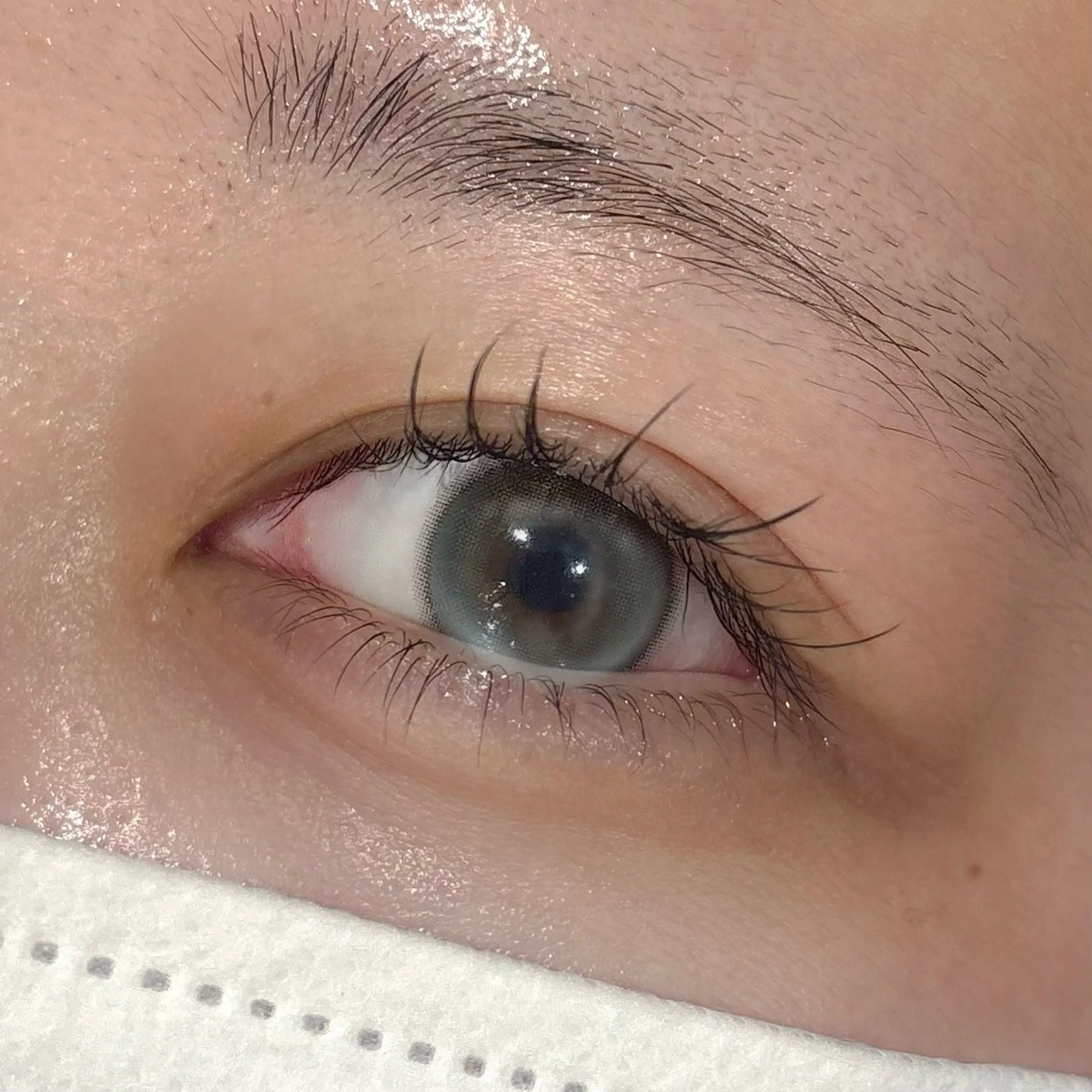 マツエク・マツパ 下まつげエクステ 一重×まつ毛パーマ sofa / Akari🏠のマツエク・マツパデザイン