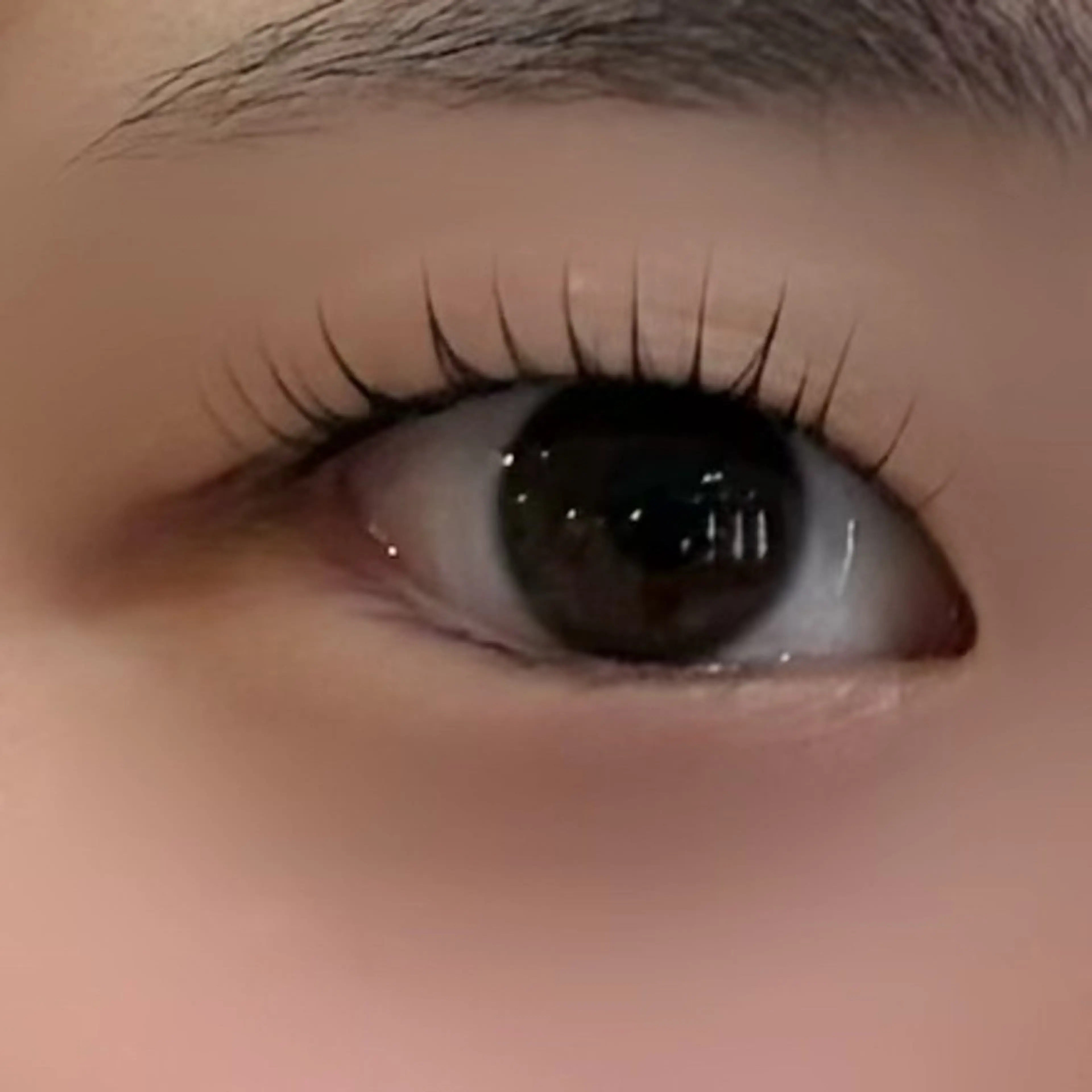 マツエク・マツパ ステラマリス所属・ステラマリス 岸田のマツエク・マツパデザイン