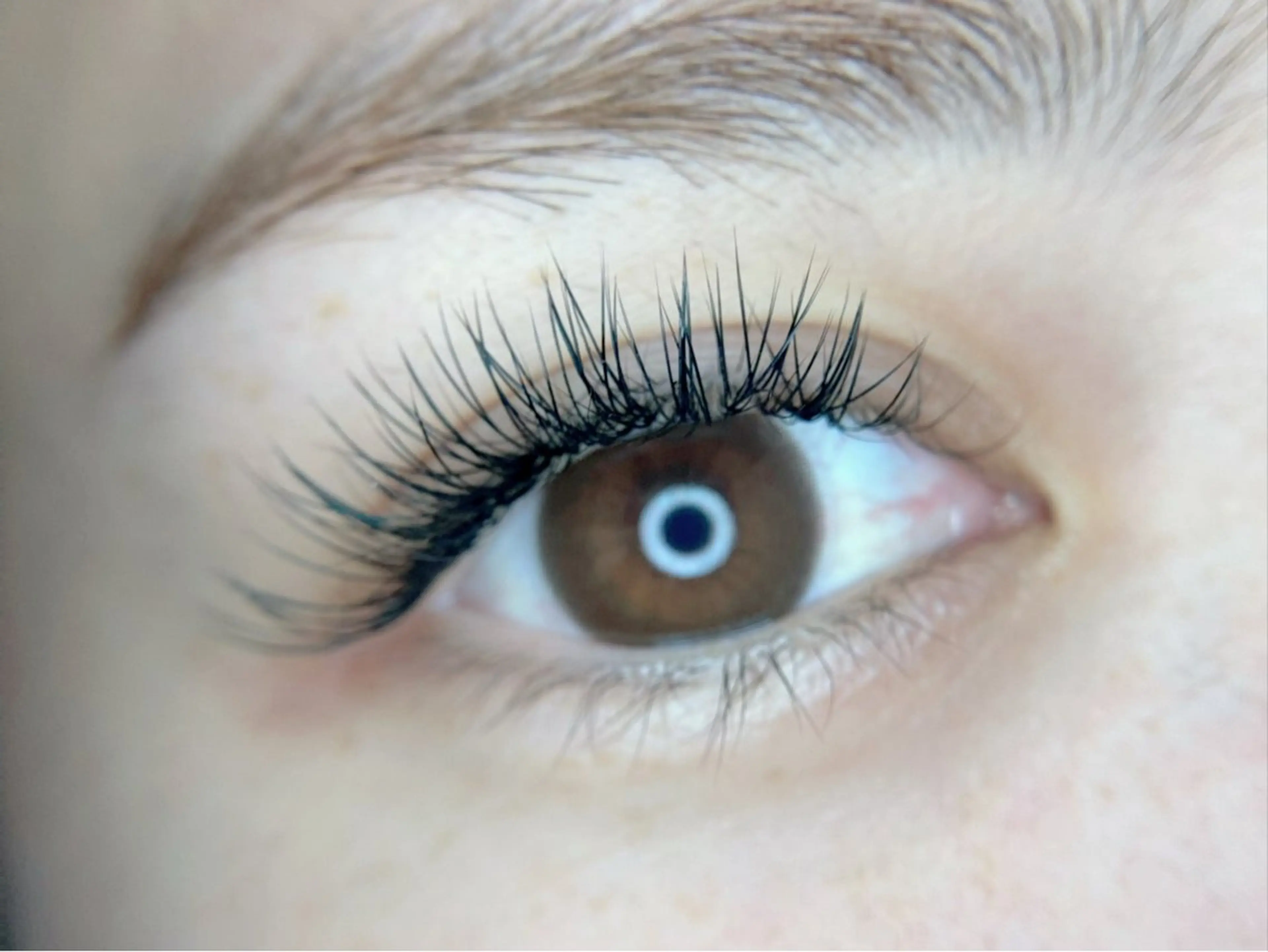 新メニュー☆Wフラットラッシュ 80束(160本)minimo限定定額価格❣️の写真