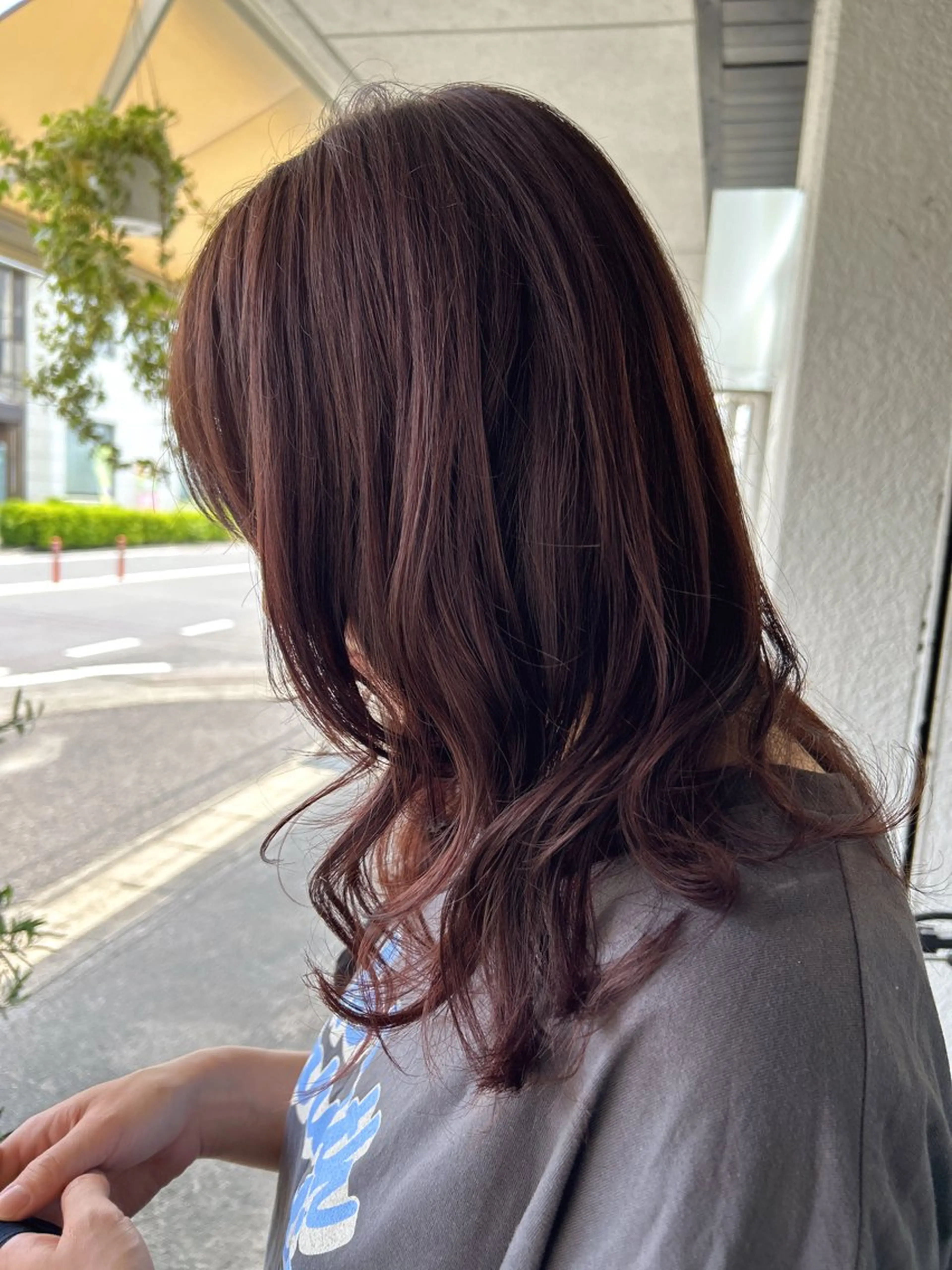 ミディアム パープルカラー カット ヘアカラー shiho/レイヤー /透明感カラーのヘアスタイル