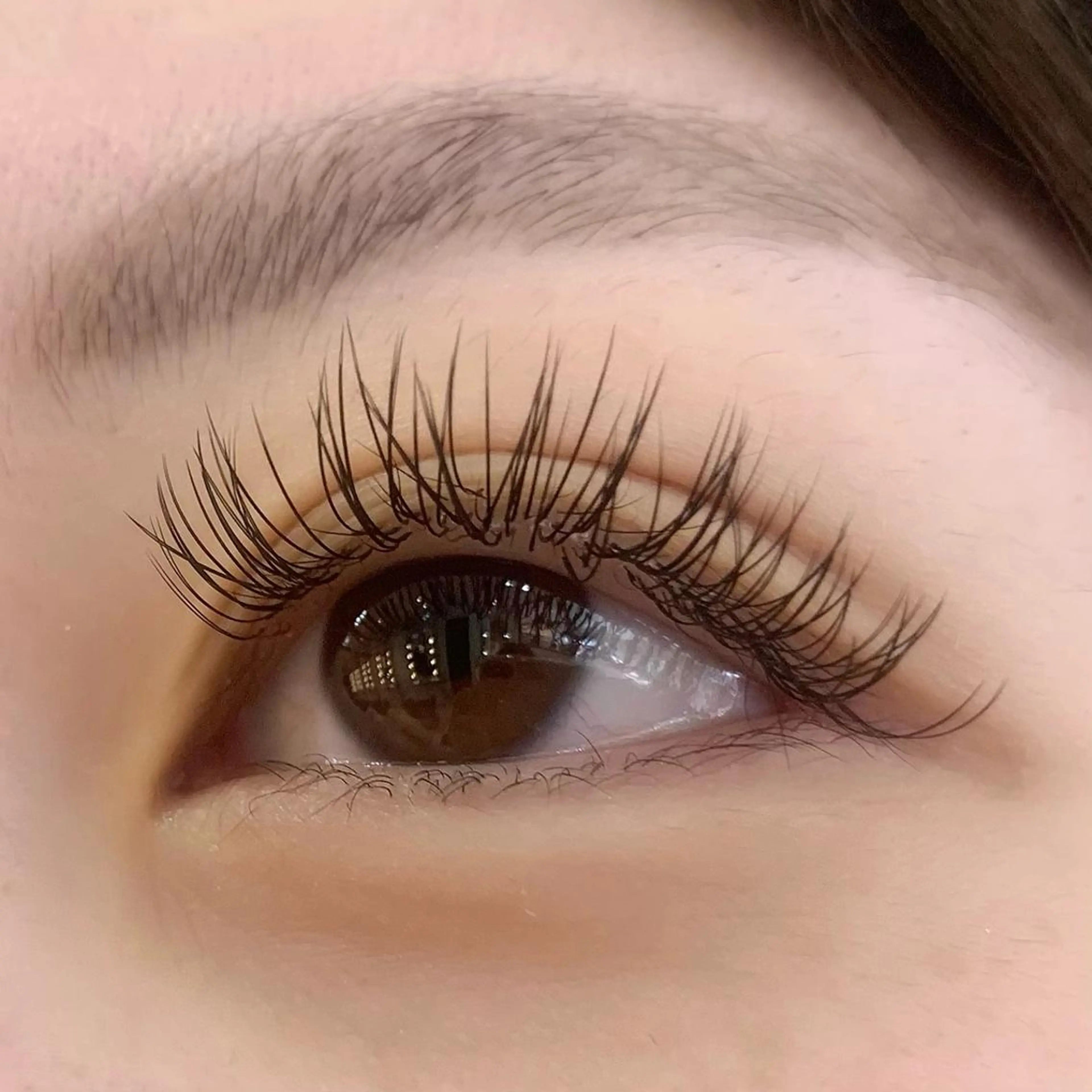 マツエク・マツパ フラットラッシュ Celeste Venus所属・🧸Celeste Venusのマツエク・マツパデザイン