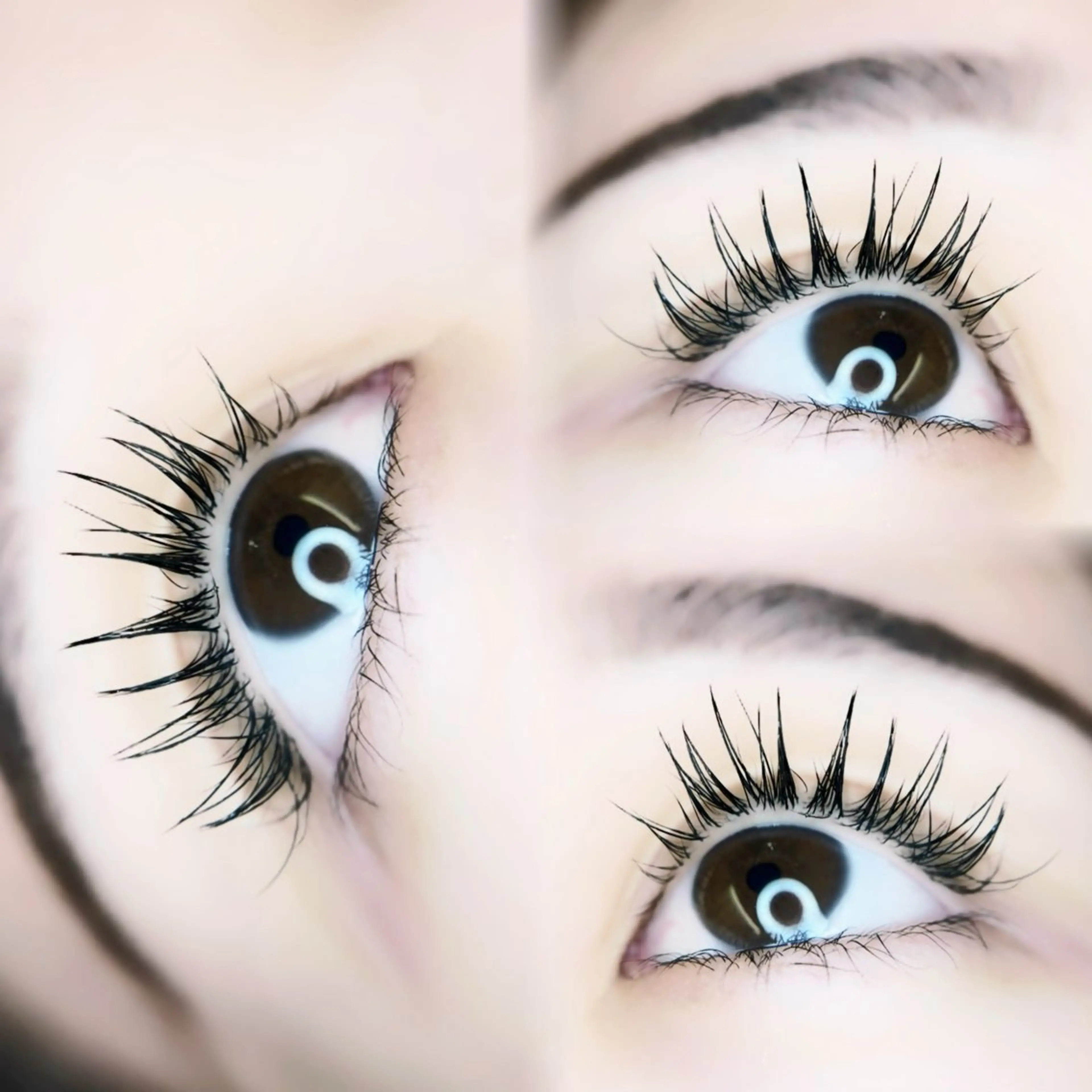 《圧倒的持続力の最先端技術》バインドロック 【60束】＋コーティング付き🌟☆オフ込み☆の写真