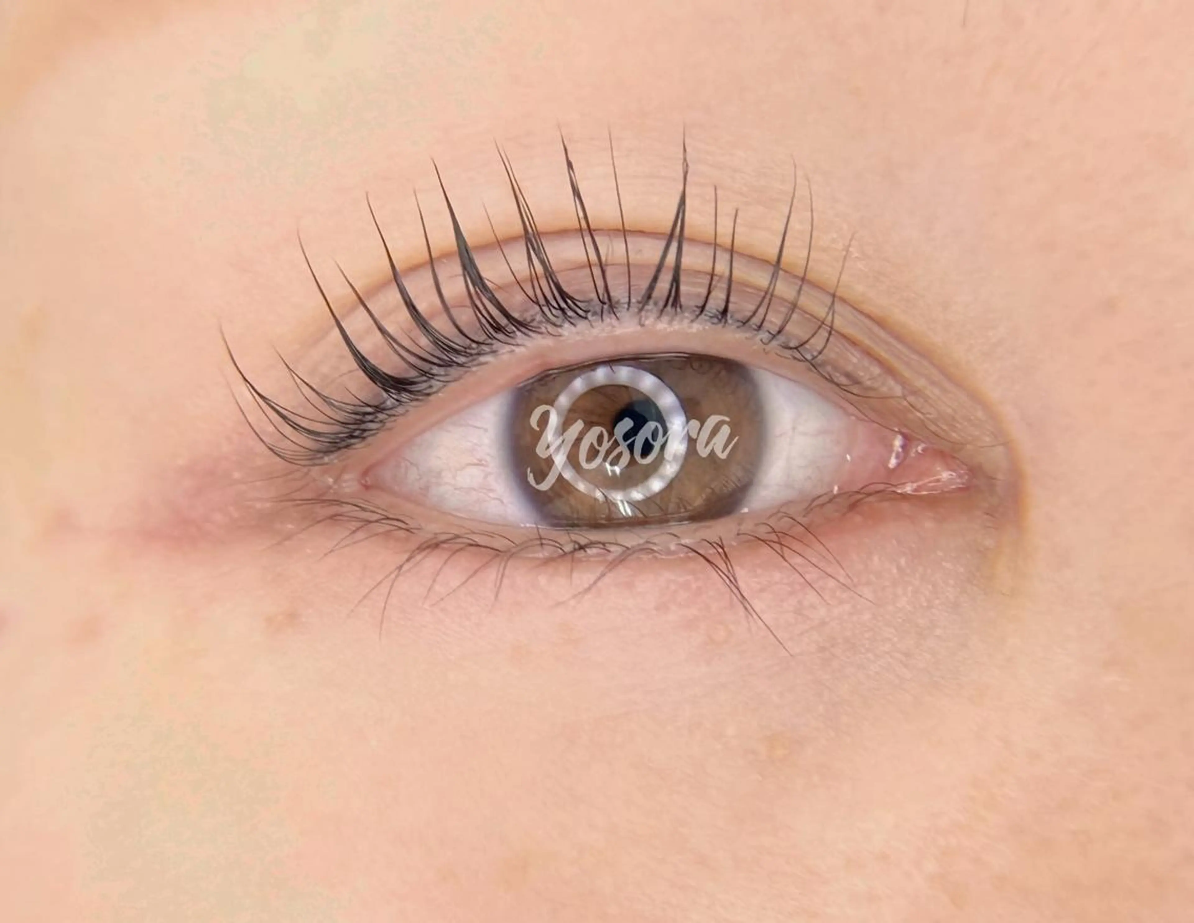 マツエク・マツパ Lカール 一重×まつ毛パーマ マツパ 浅草橋 Yosoraのマツエク・マツパデザイン