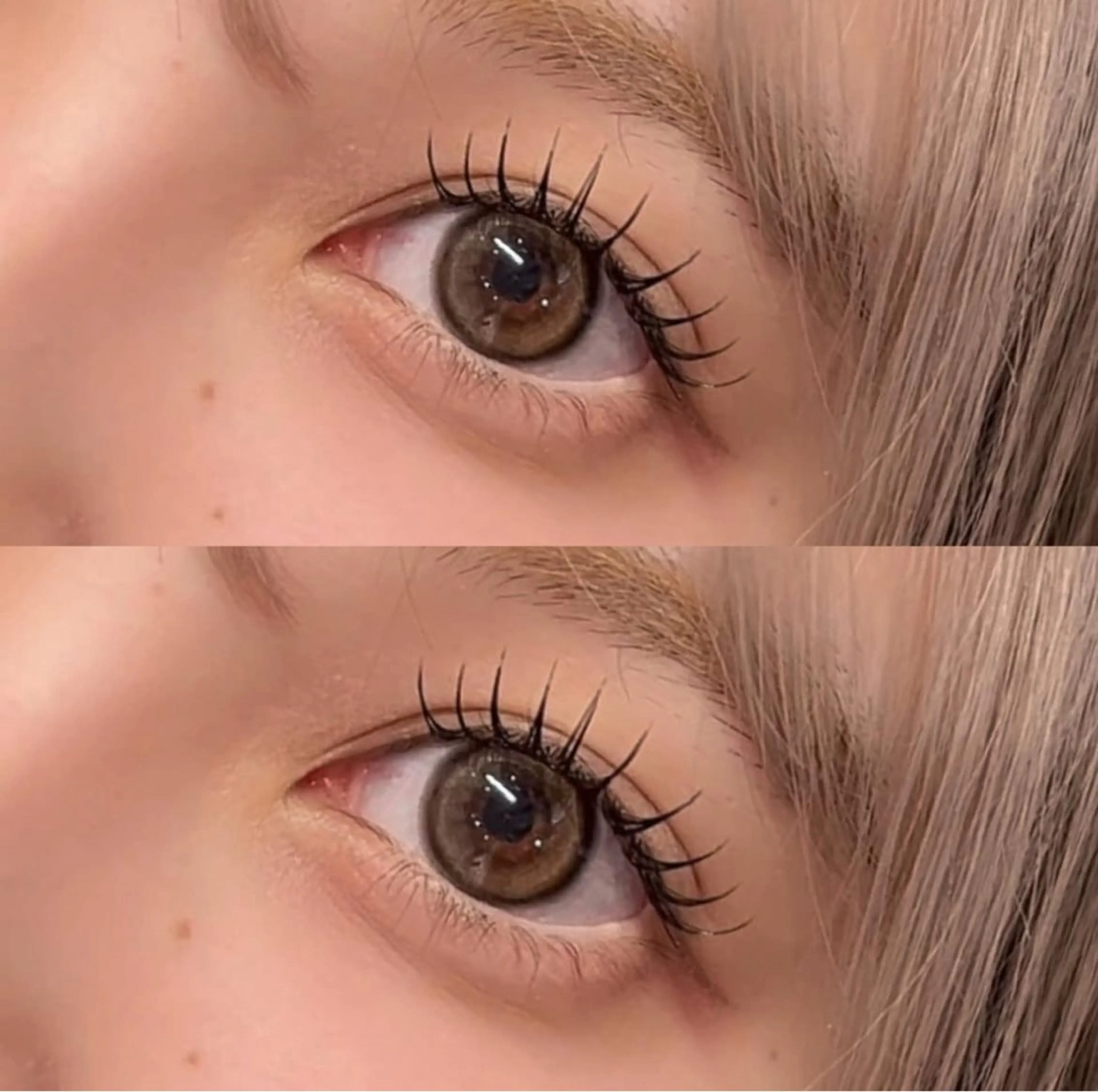 マツエク・マツパ 束感まつ毛 ナチュラル マツエク YUWA 【Taylor】のマツエク・マツパデザイン