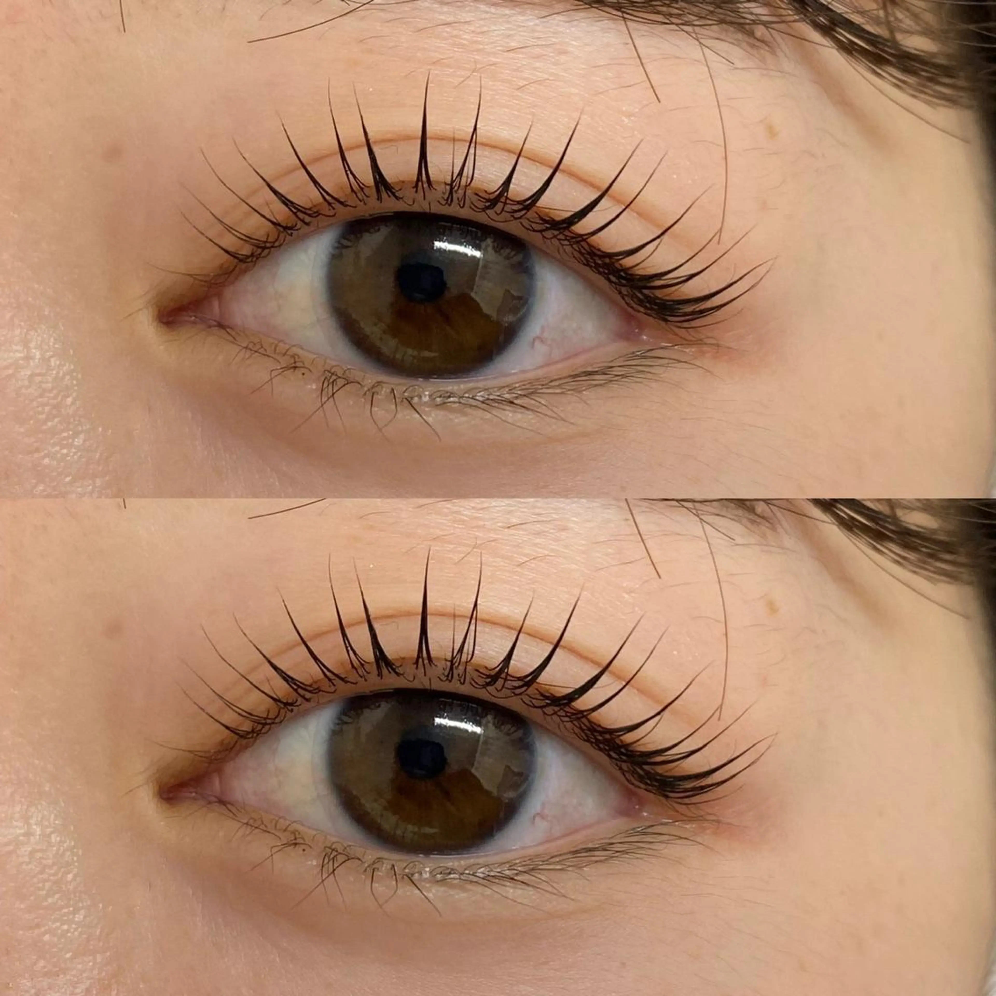 マツエク・マツパ Le Riad 栄 🦋坪内のマツエク・マツパデザイン