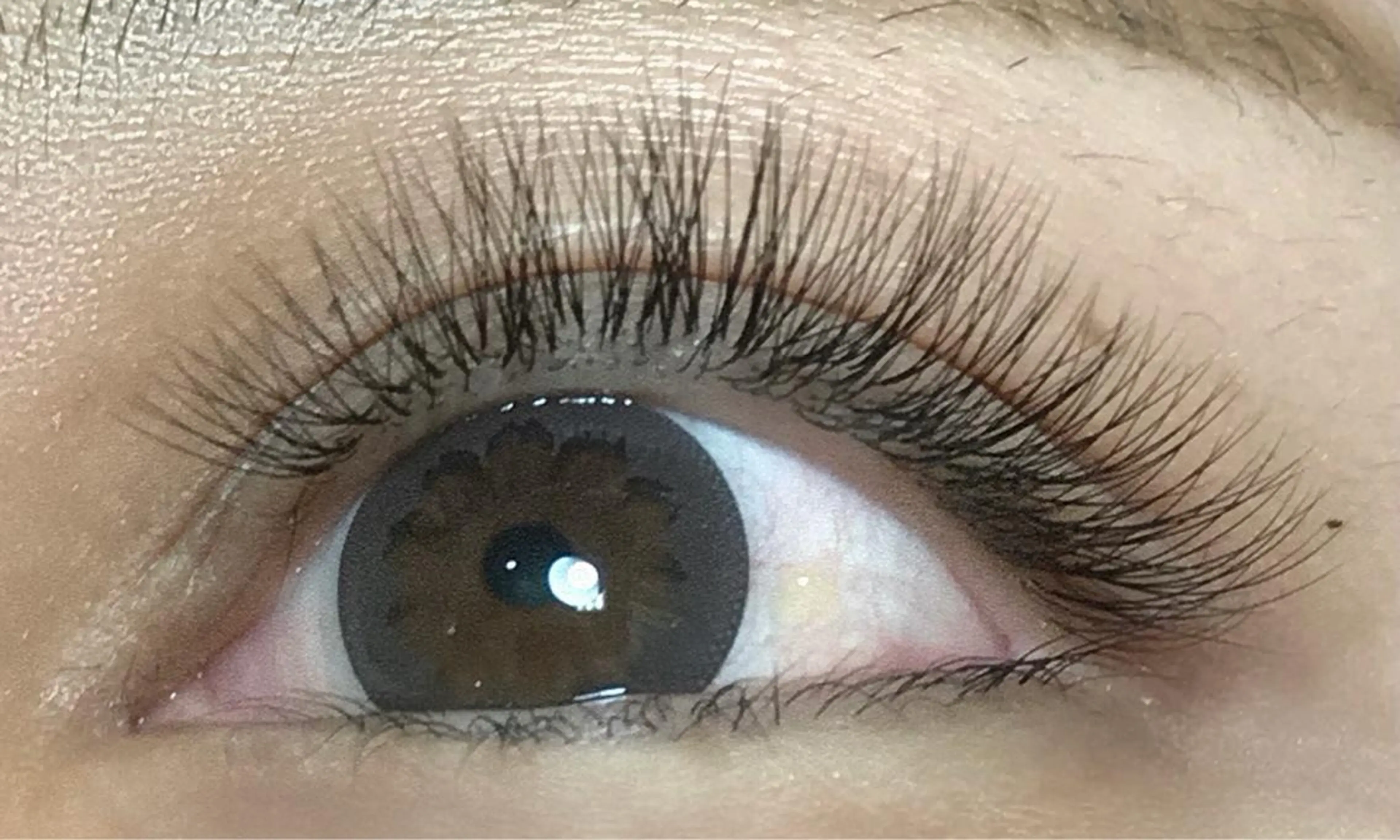 ボリューム⬆️3Dボリュームラッシュ💕（オフあり）80束の写真