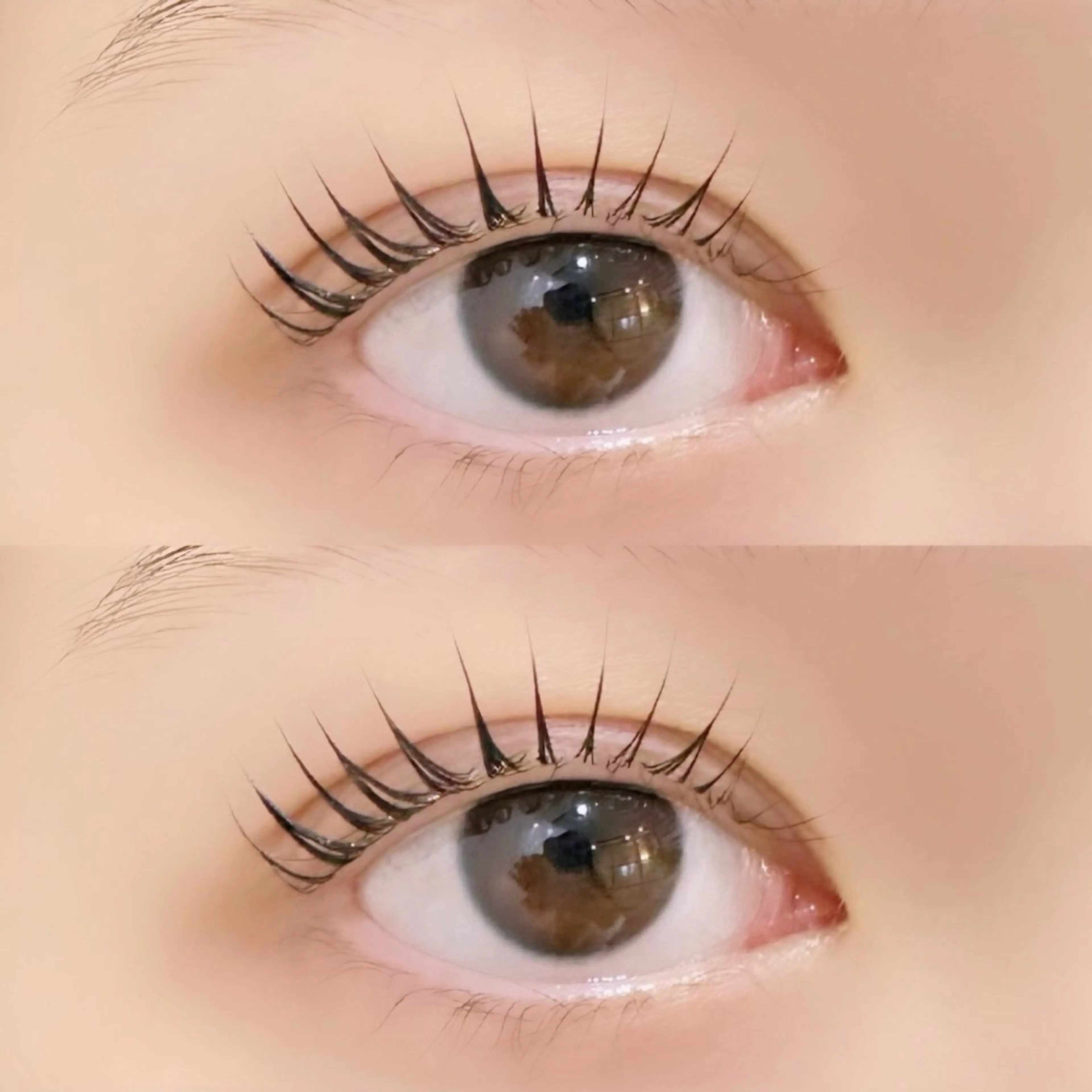 【set menu🪄】💜パリジェンヌ×クイックアイブロウワックス💜の写真