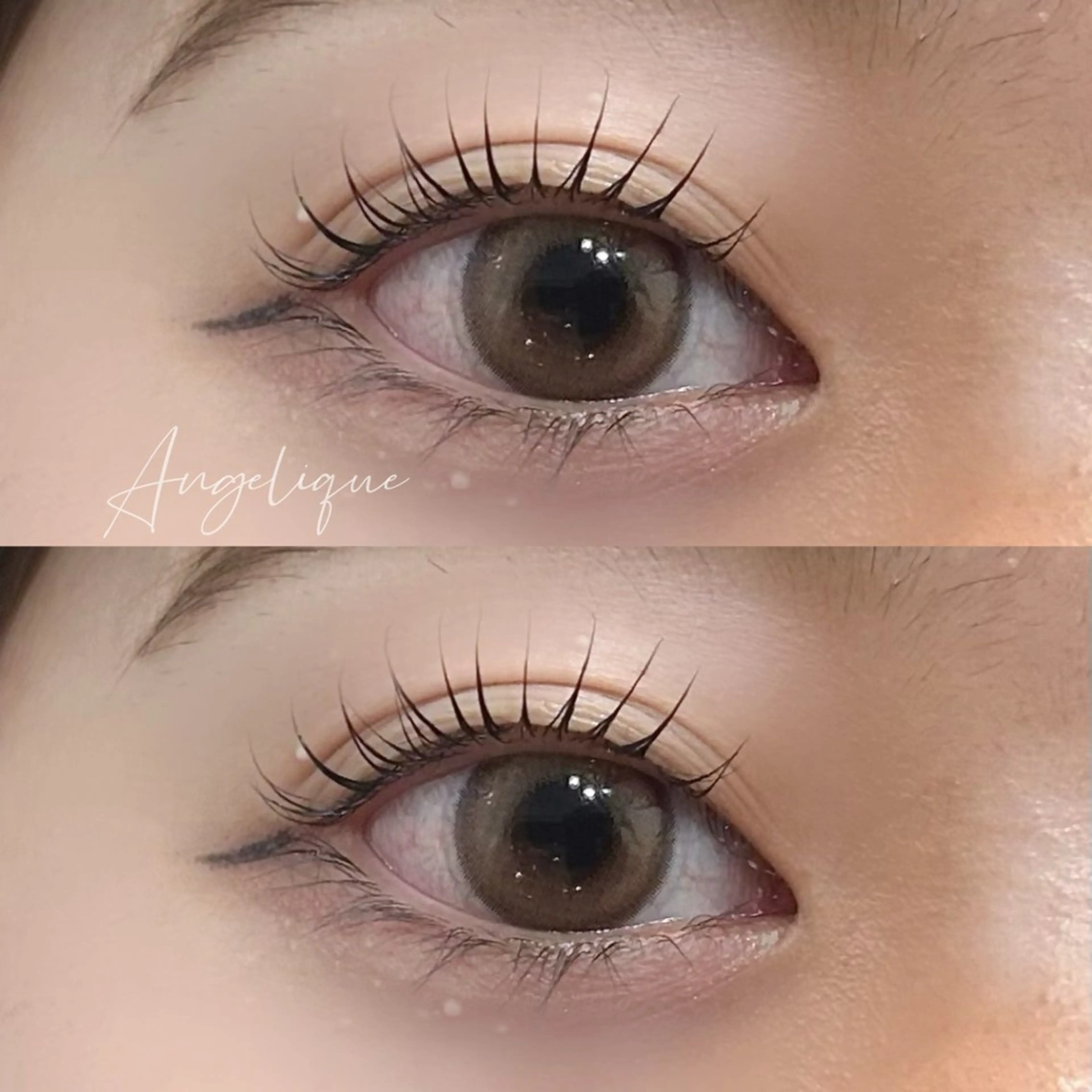 マツエク・マツパ ナチュラル 一重×まつ毛パーマ マツパ 小倉 彩愛のマツエク・マツパデザイン