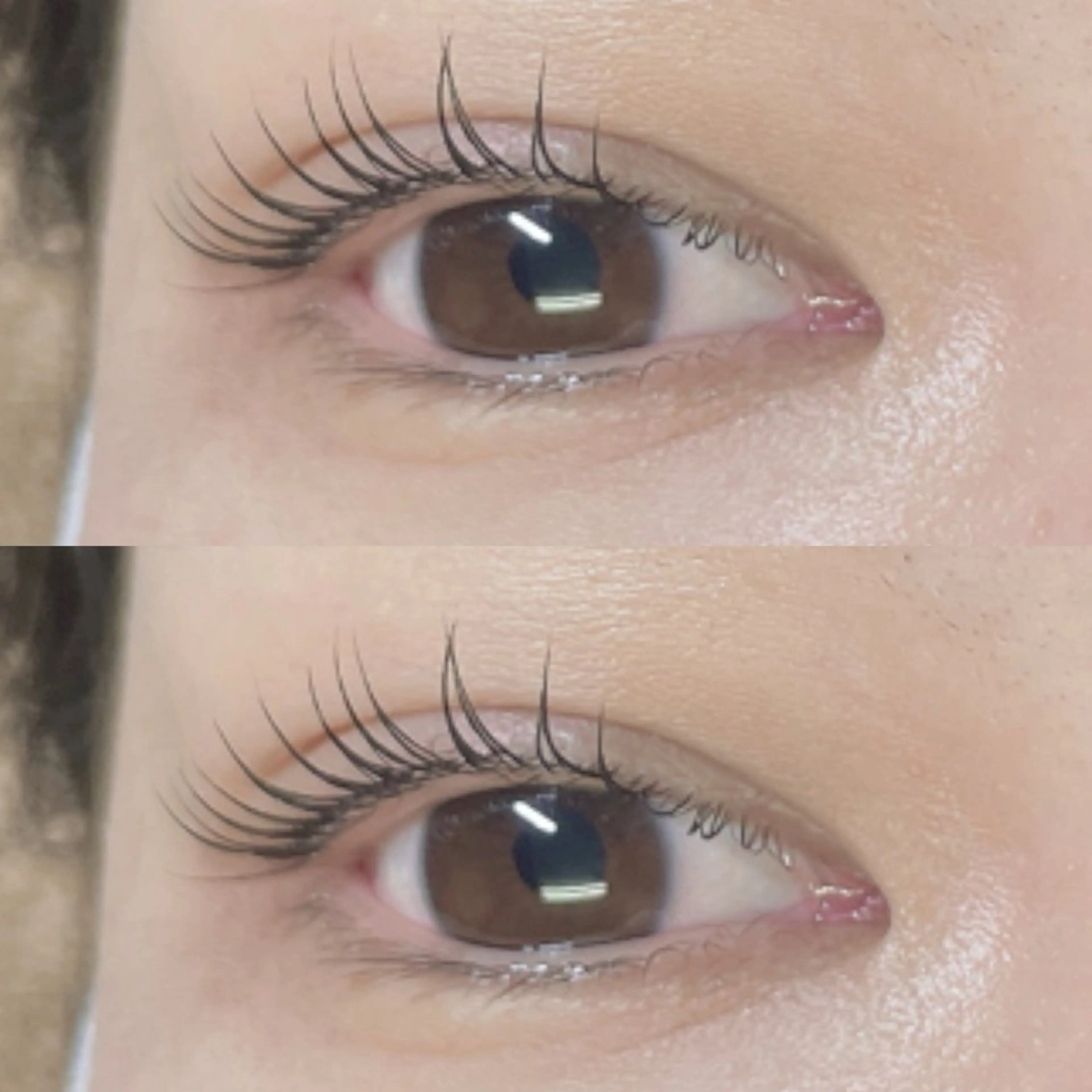 マツエク・マツパ マツパ リフュージュ　隠れ家所属・リフュージュ🌷 カホのマツエク・マツパデザイン