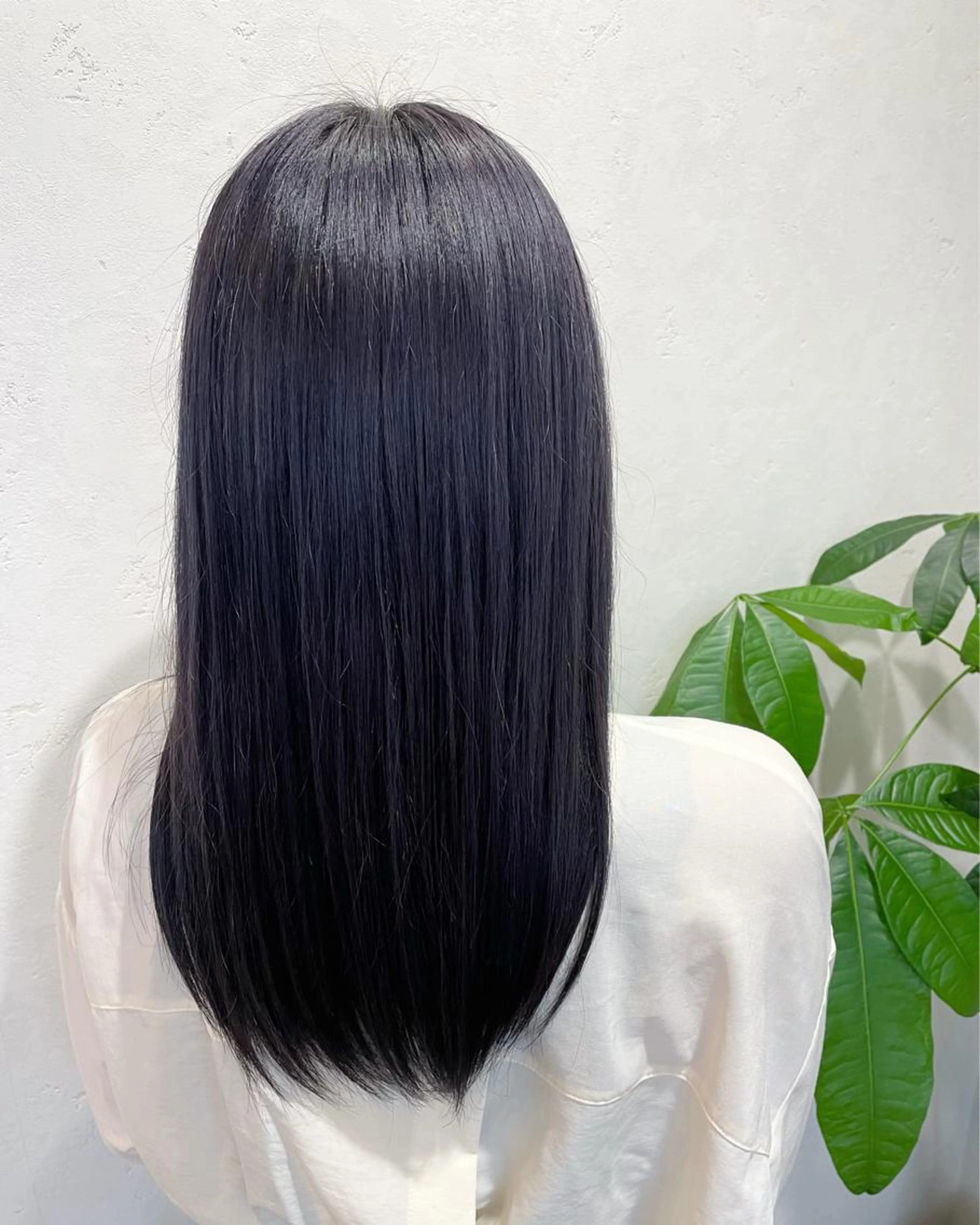 カット【シャンプーブロー込】の写真