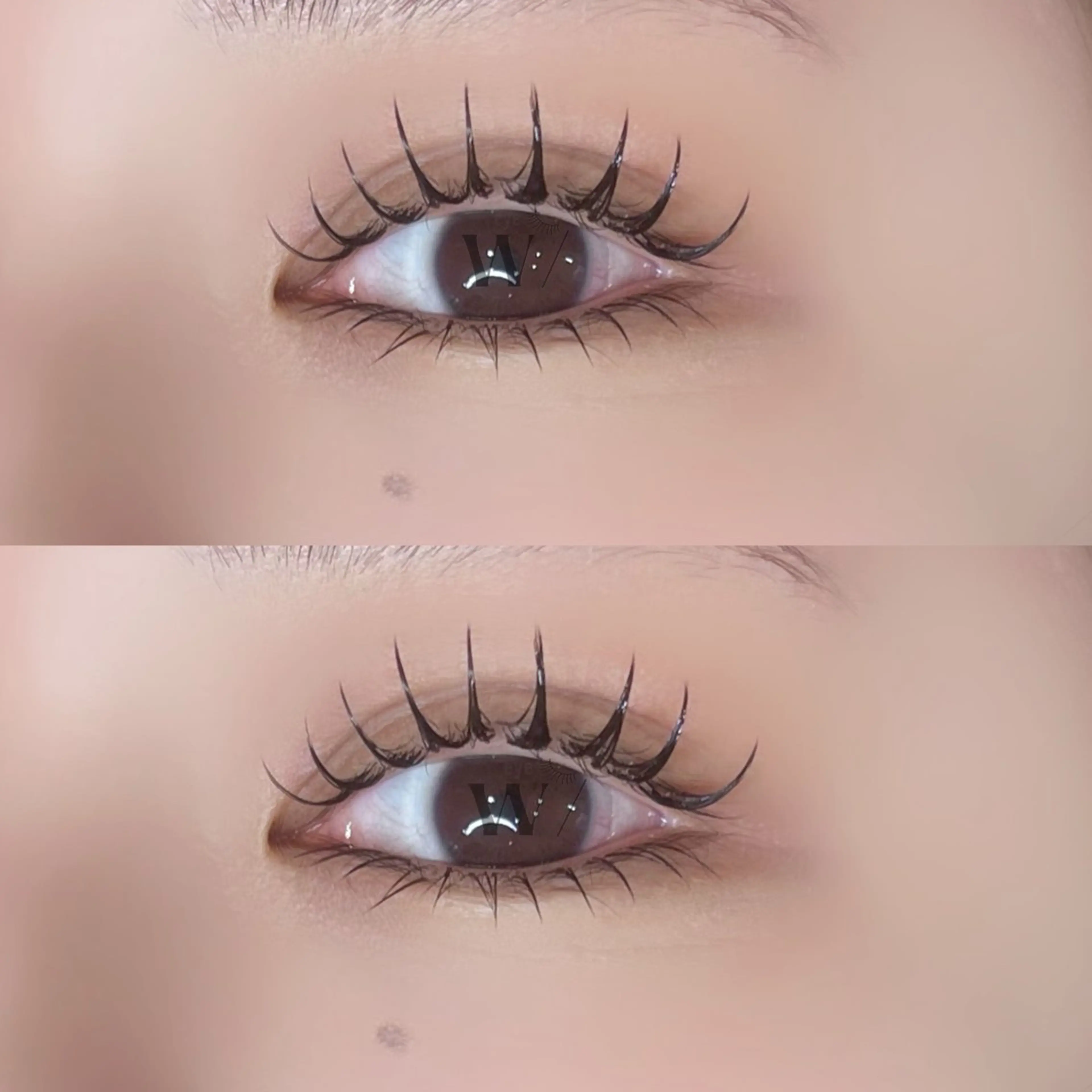 【上LEDマツエク】×【下エクステ】※平日限定(10/1～10/10限定)締切〆の写真