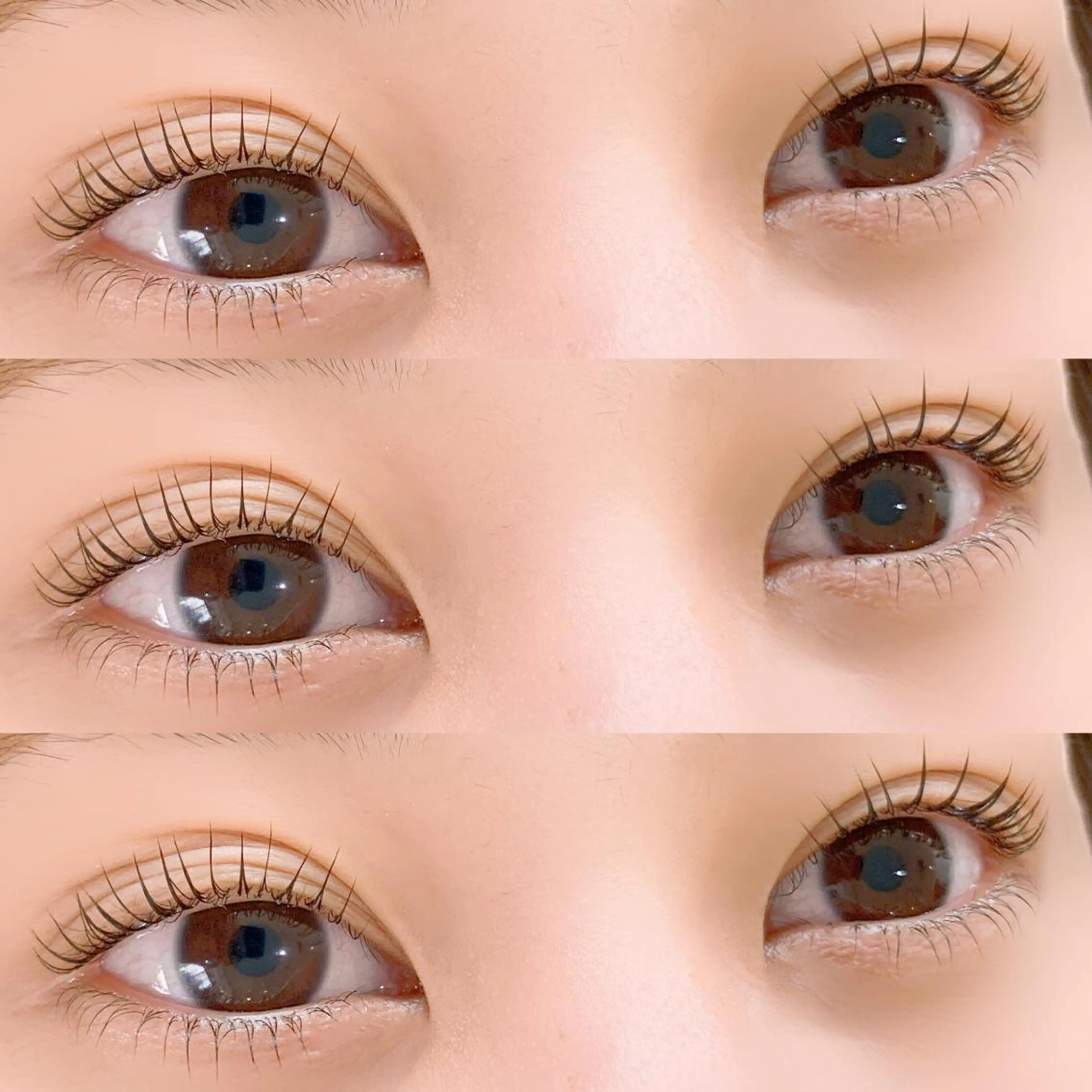 【新規】パリジェンヌラッシュリフト➕コーティング¥4,500の写真