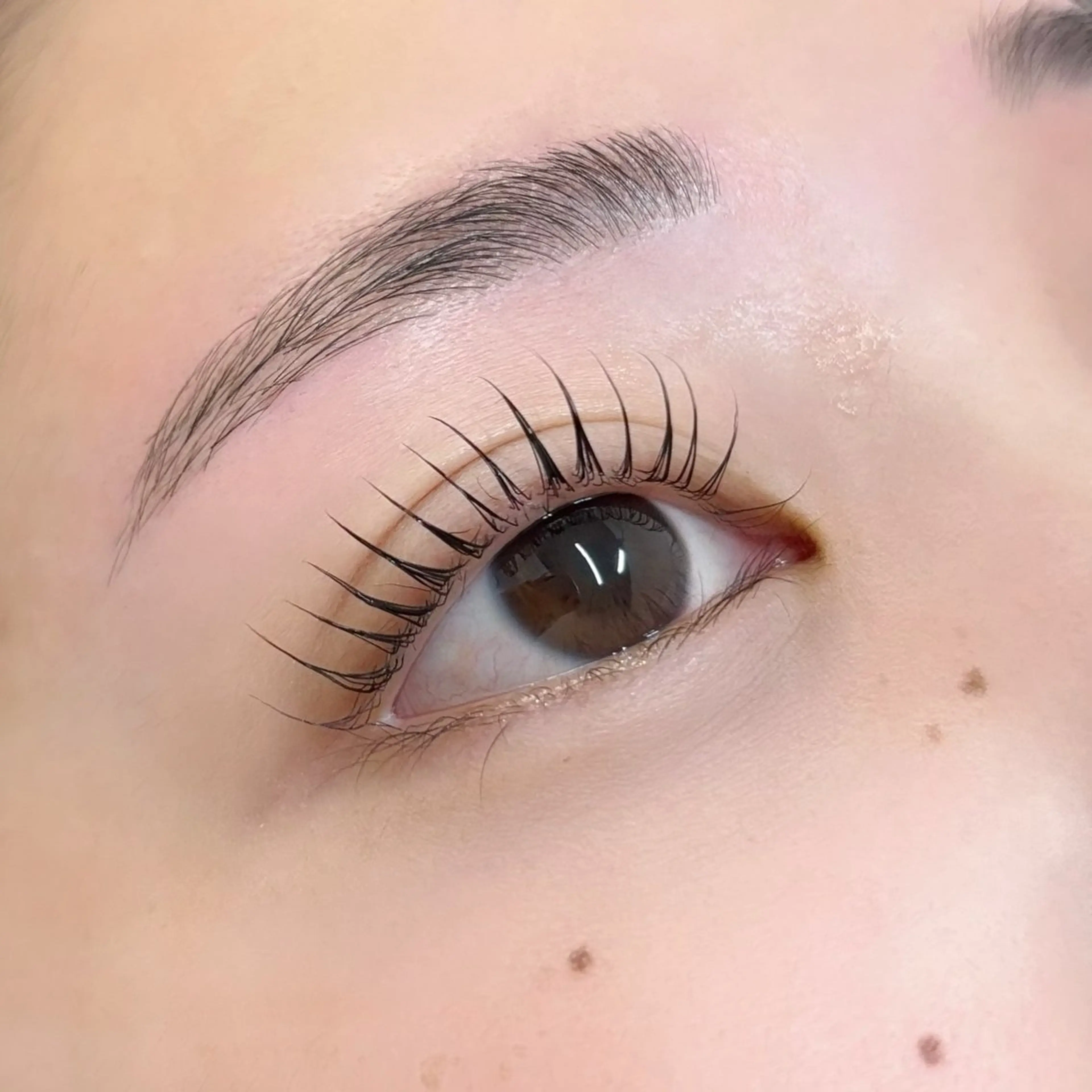 【上まつ毛パーマ＋アイブロウワックス】￥10500→￥9500の写真