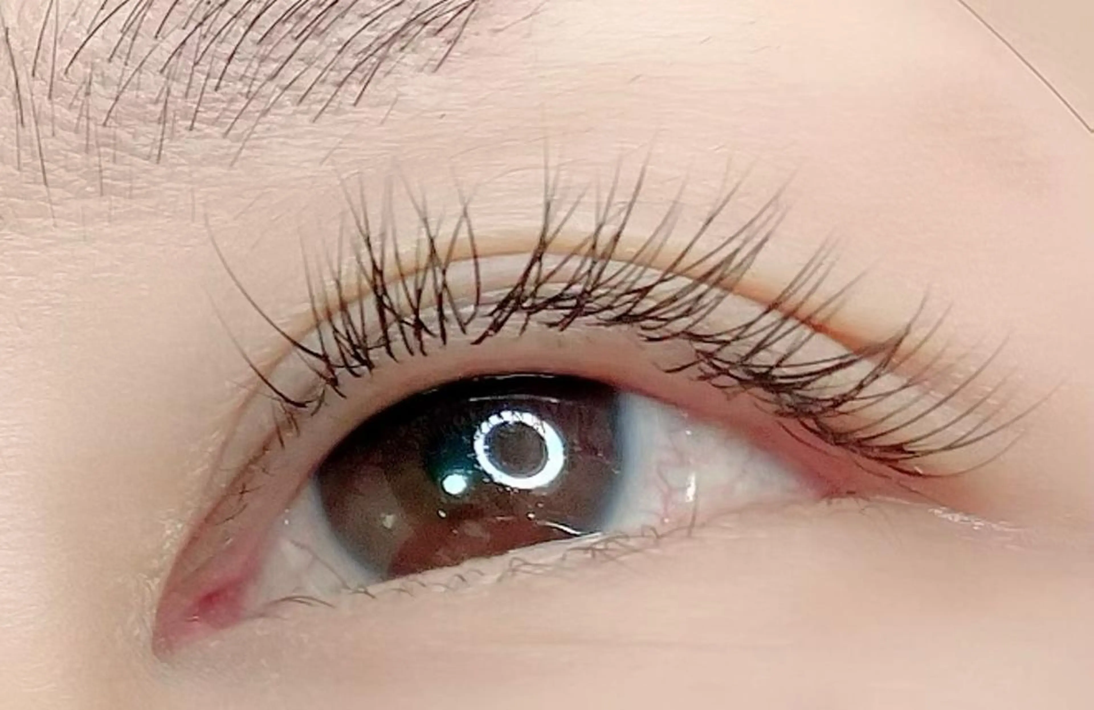 マツエク100本まで(フラットラッシュ可)の写真