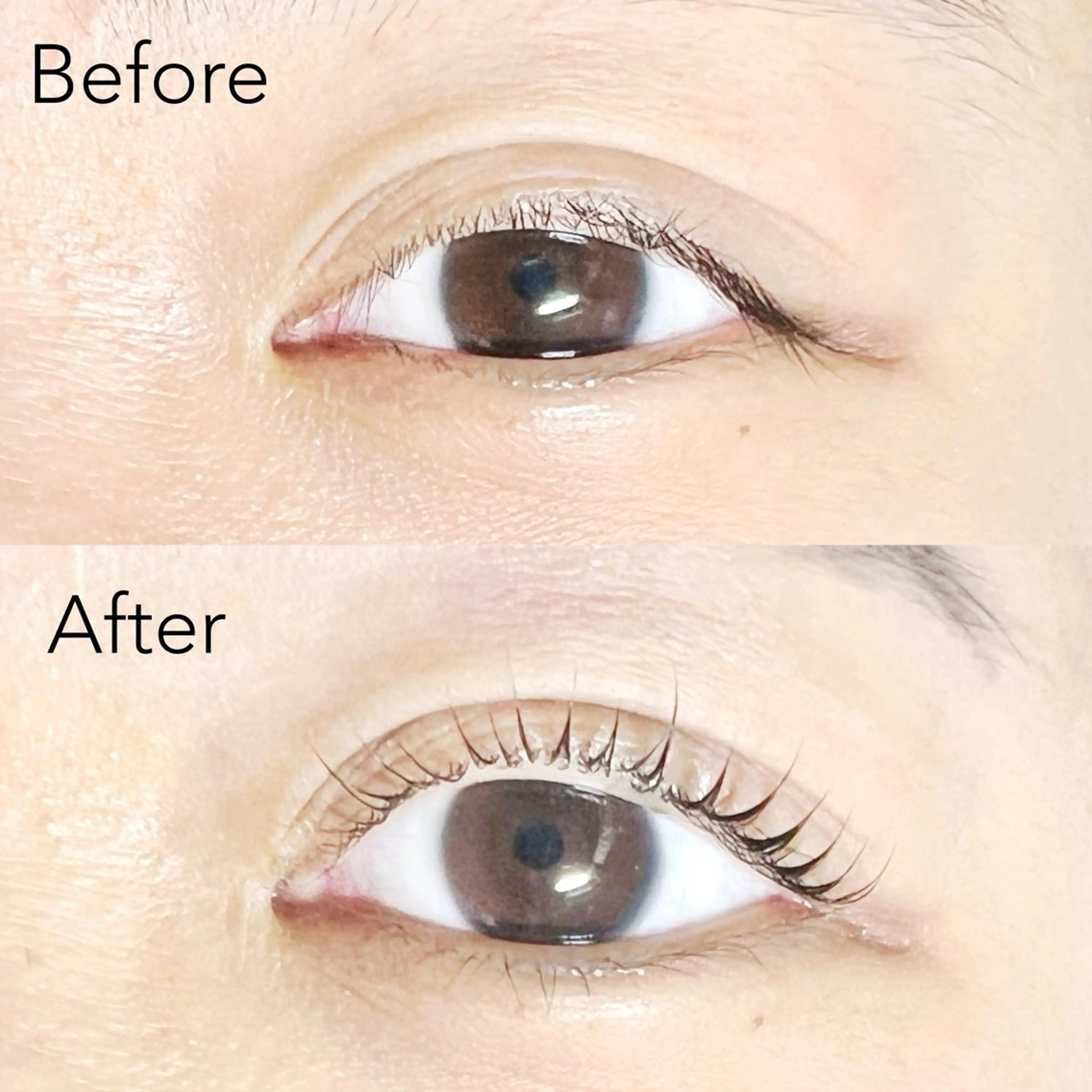 マツエク・マツパ Nail salon Ange 【アンジュ】所属・Salon Ange 🎀🤍Misakiの眉毛・アイブロウイメージ