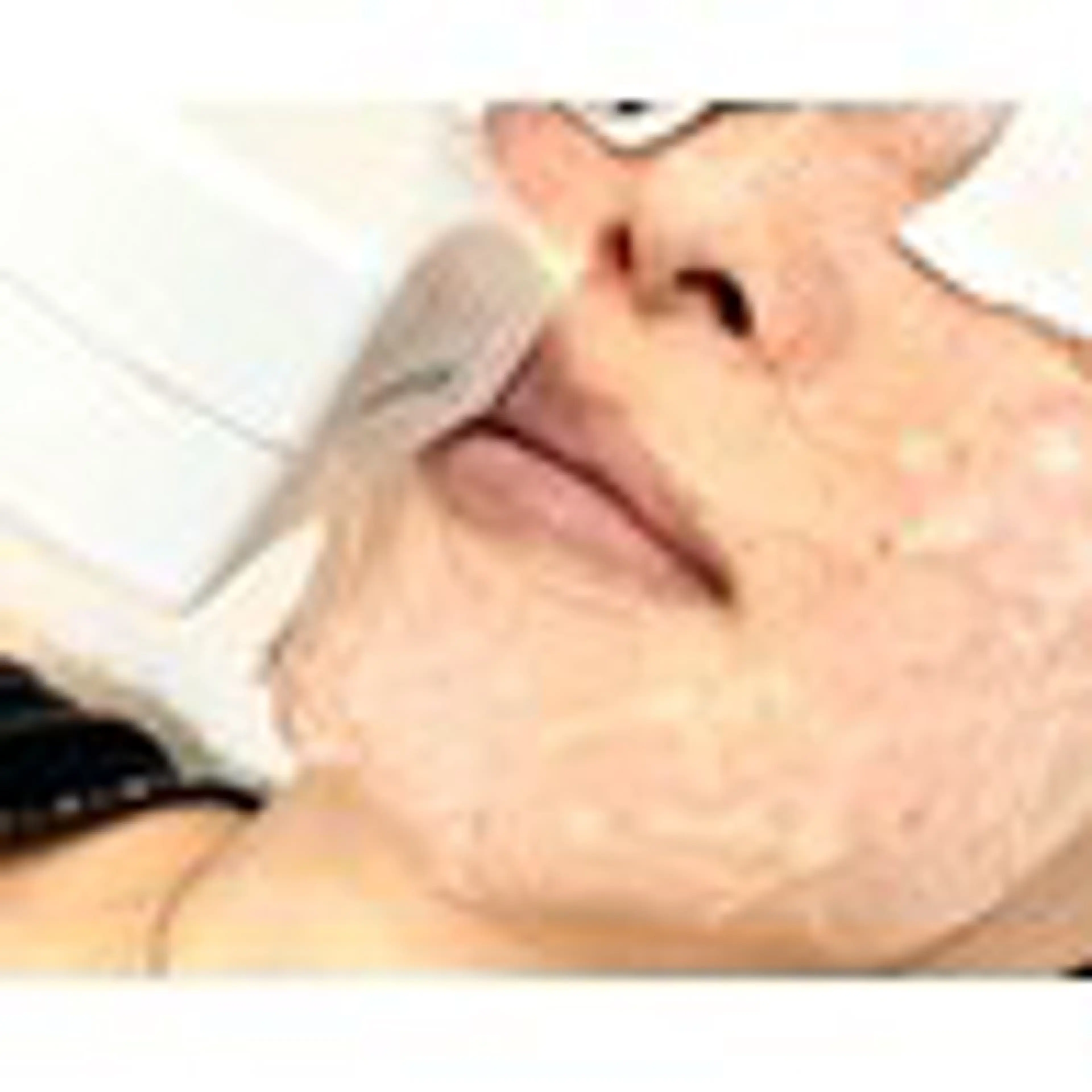 メゾンドシャルムビス所属・メゾンドシャルムビス 玉置のマツエク・マツパデザイン