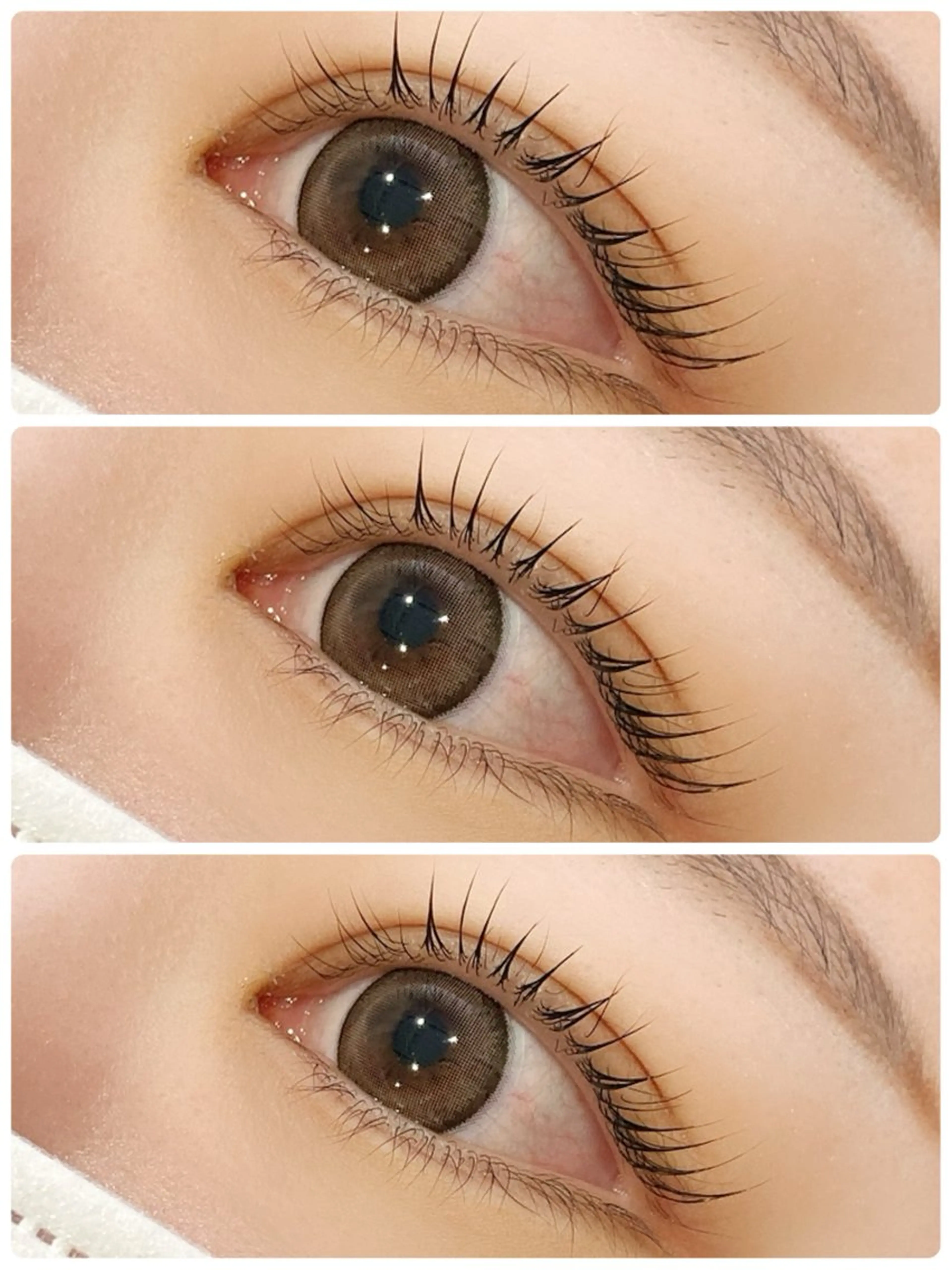 マツエク・マツパ 韓国風マツエク パリジェンヌラッシュリフト まつげパーマ マツパ HARP Eyelash所属・HARP 🌿 JURIのマツエク・マツパデザイン