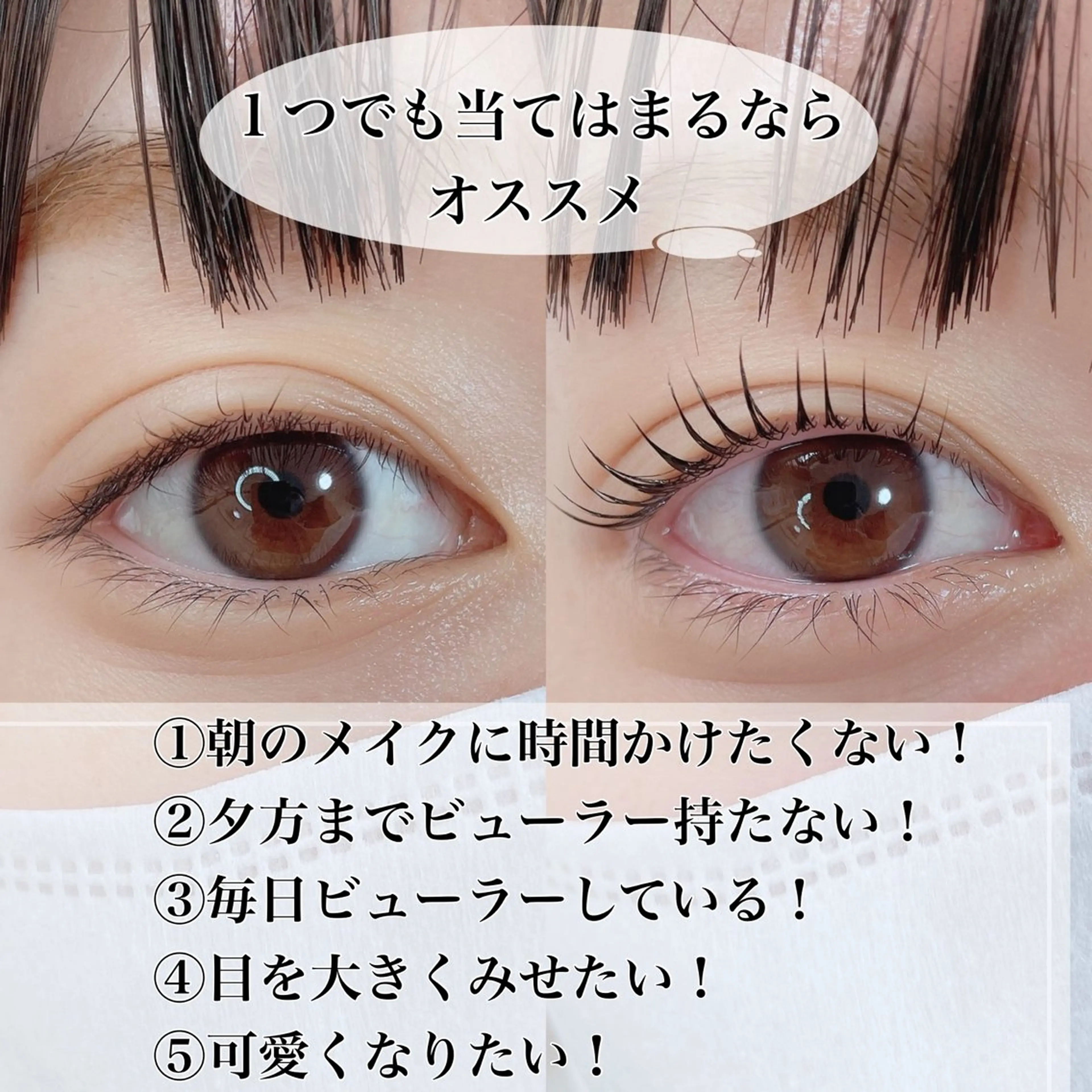マツエク・マツパ マツパ プル eyelashのマツエク・マツパデザイン