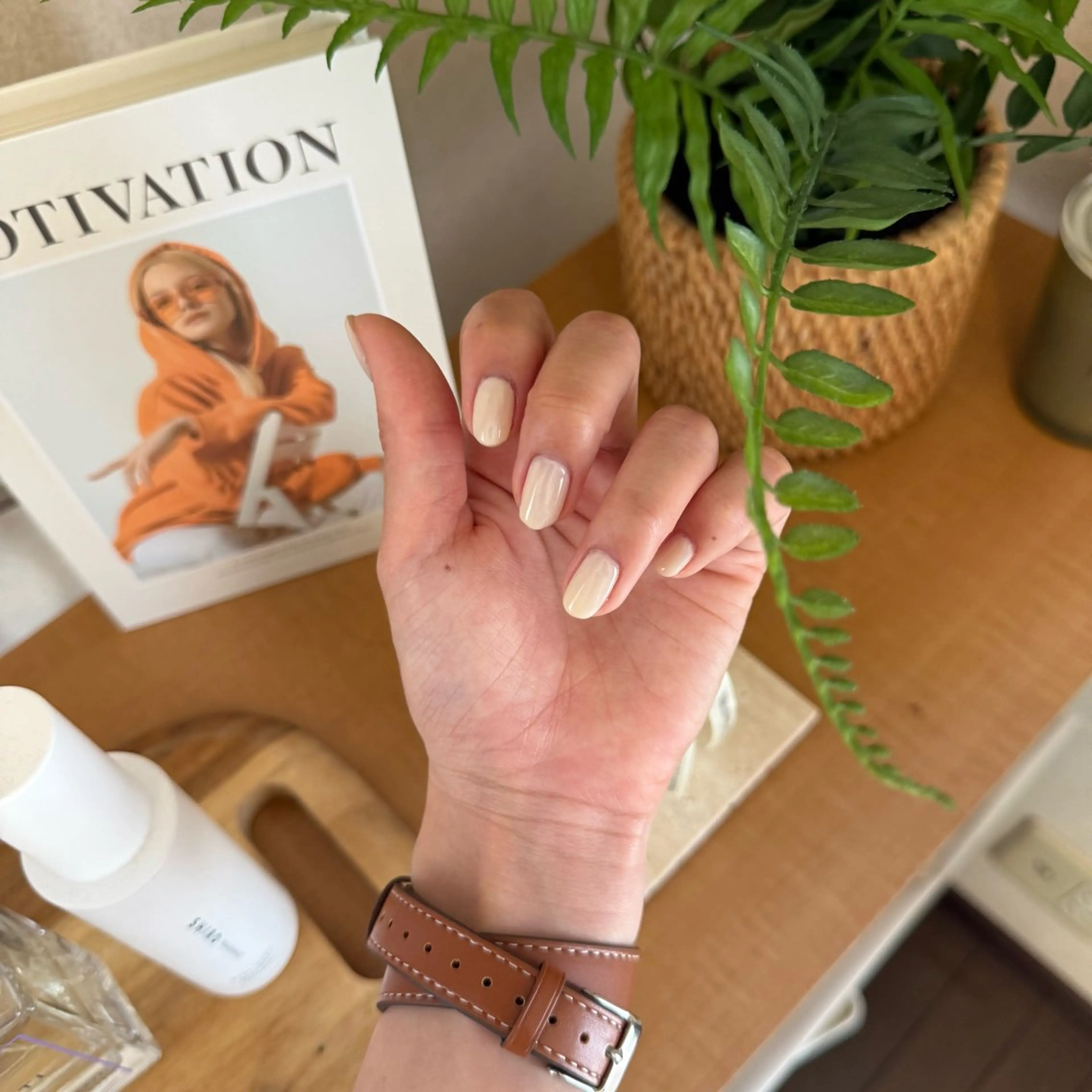 🌟オフなし🌟ワンカラー（カラーは何色でもお選びいただけます‼︎）の写真