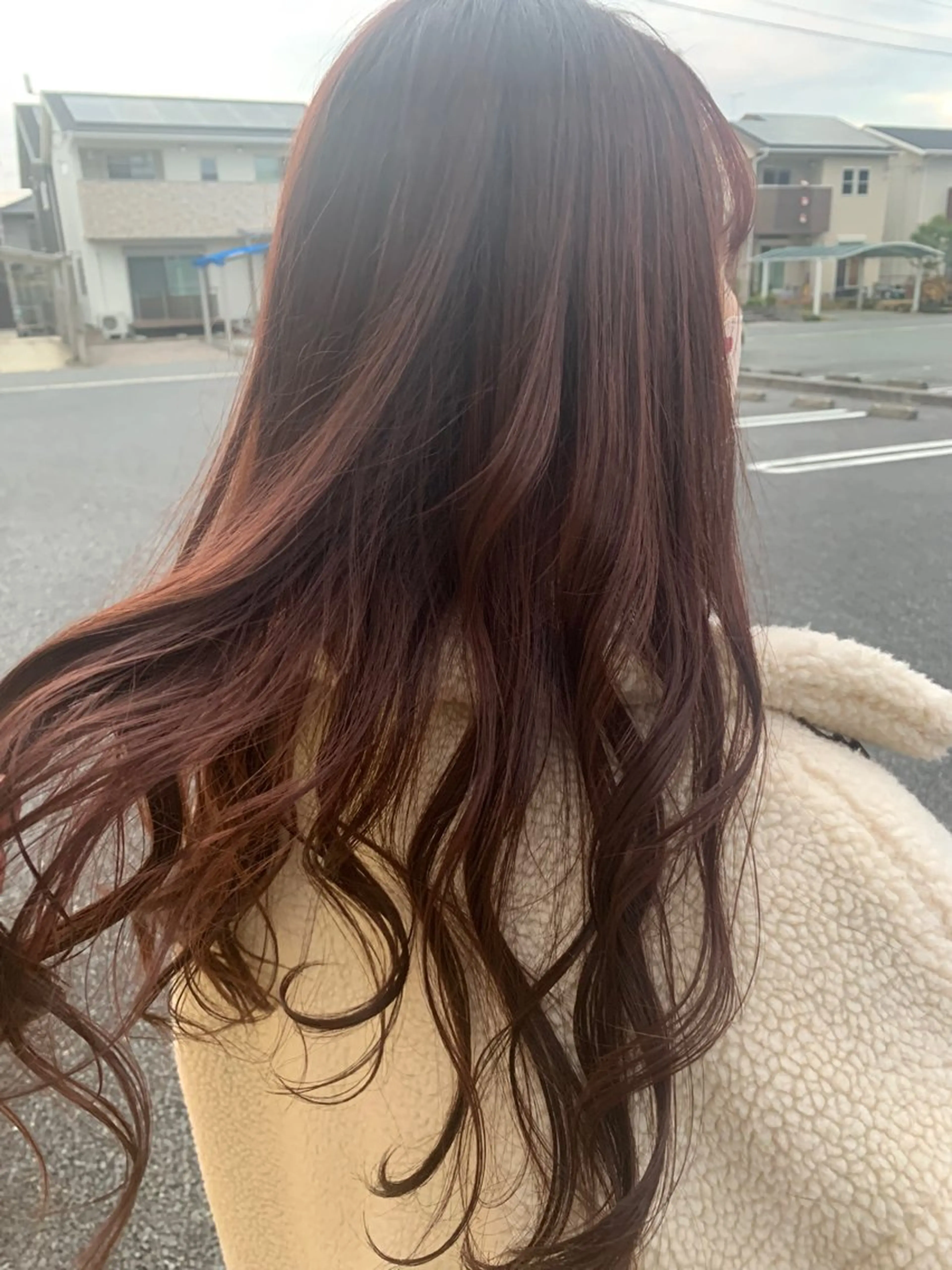 全体カラーの写真