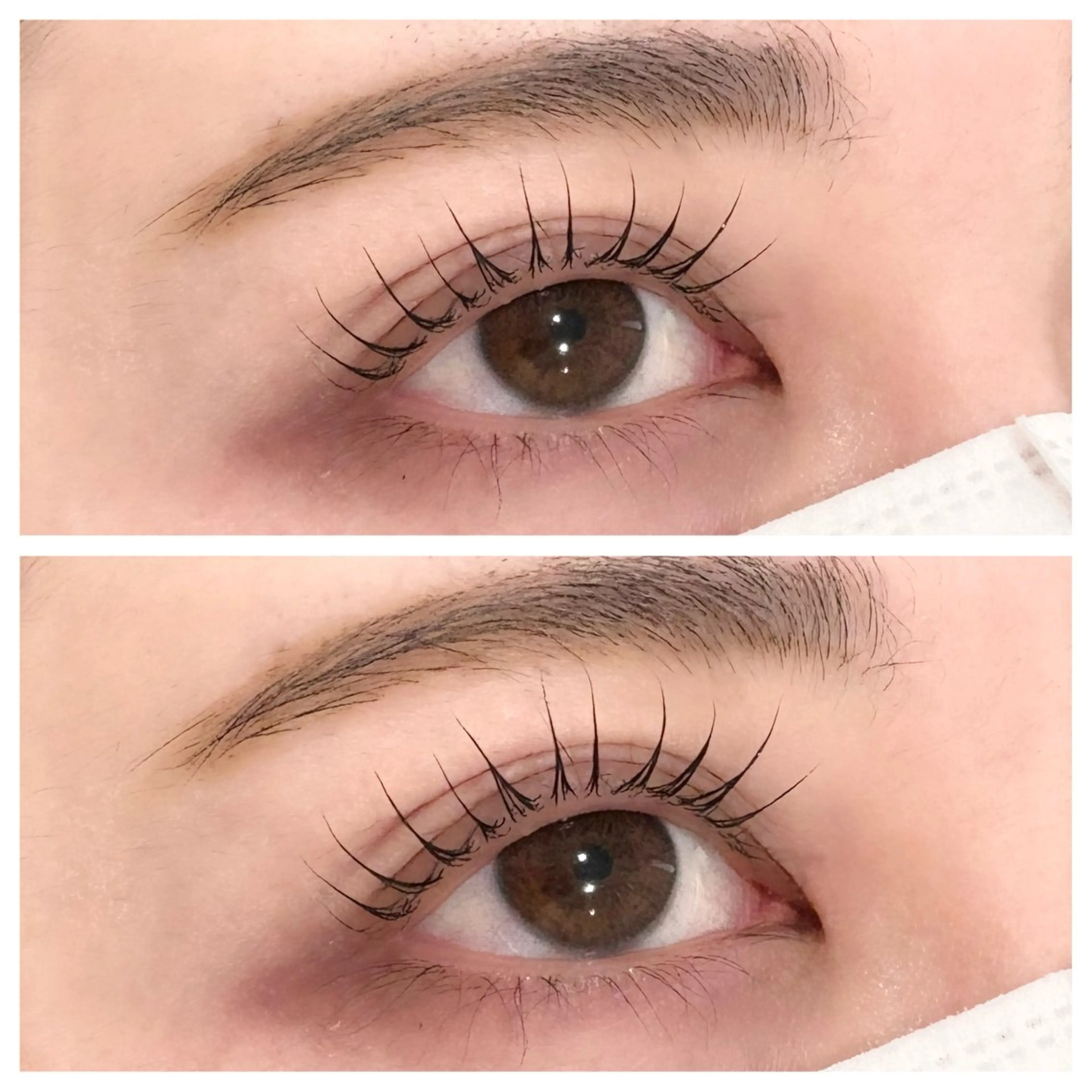 マツエク・マツパ マツパ Zina船橋北口🍒 Mikuのマツエク・マツパデザイン