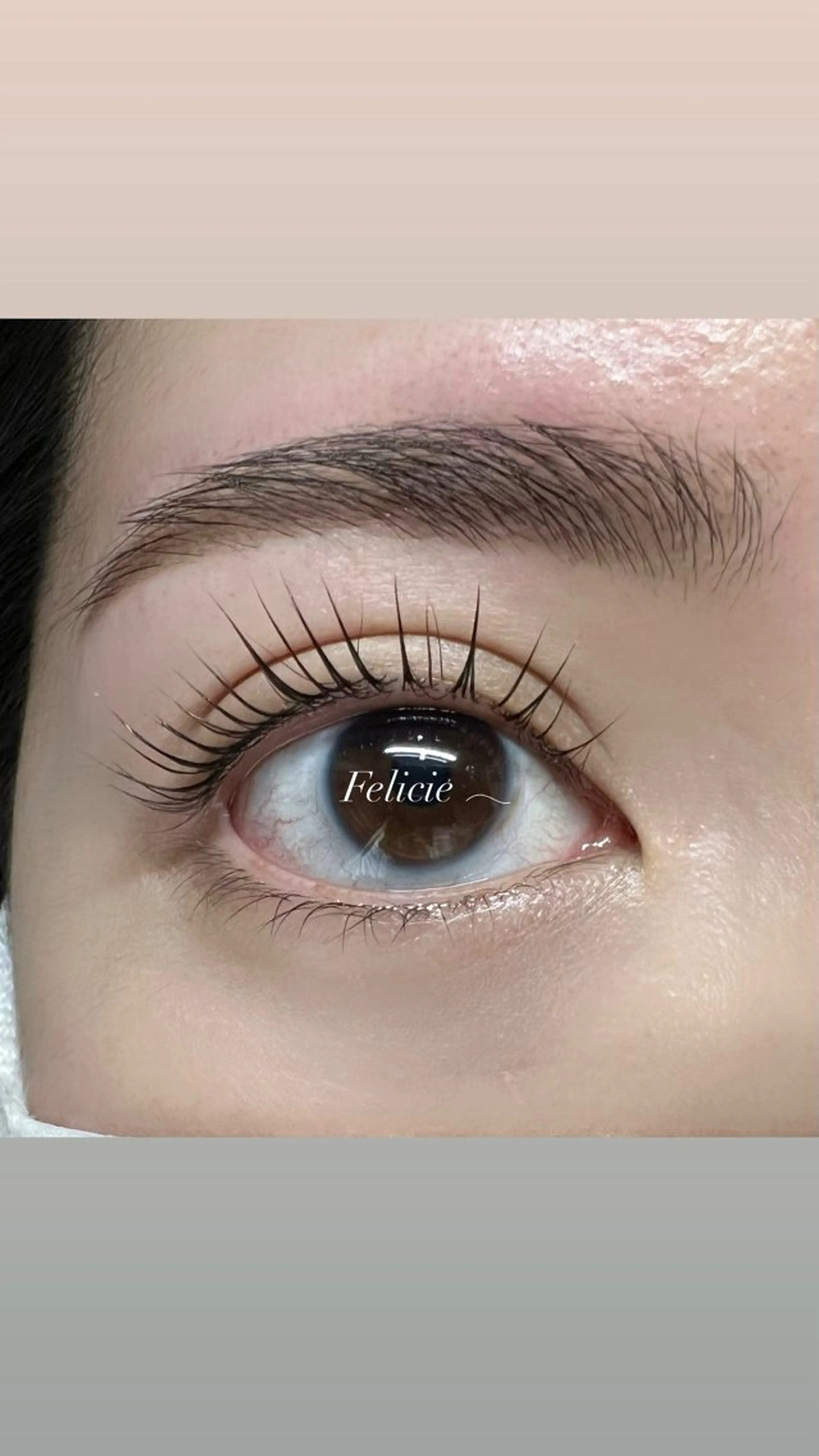 マツエク・マツパ パリジェンヌラッシュリフト マツパ Felicie＊ Sayakaのマツエク・マツパデザイン