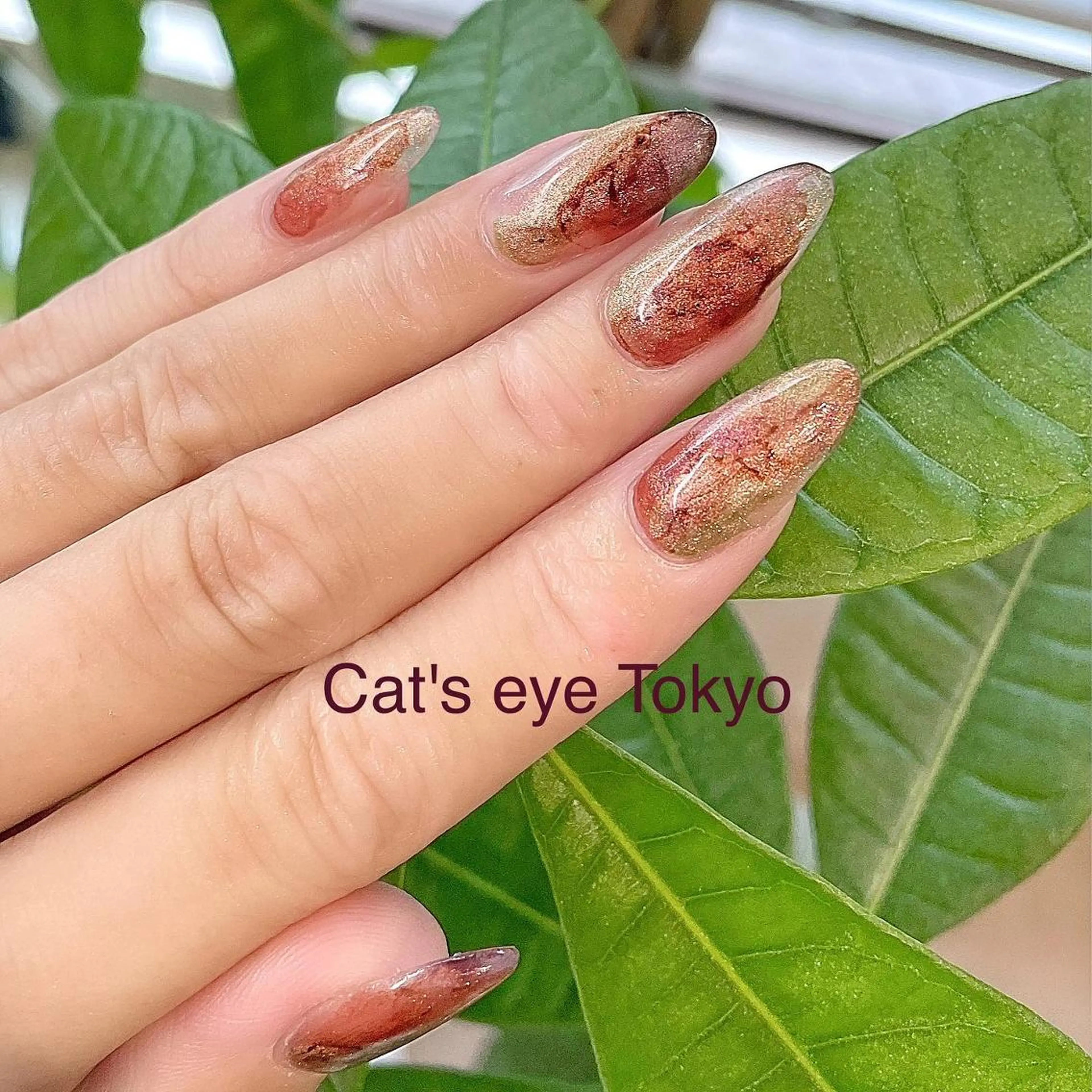 ネイル マツエク・マツパ ニュアンスネイル Cat's eye TOKYO 新宿店のネイルデザイン