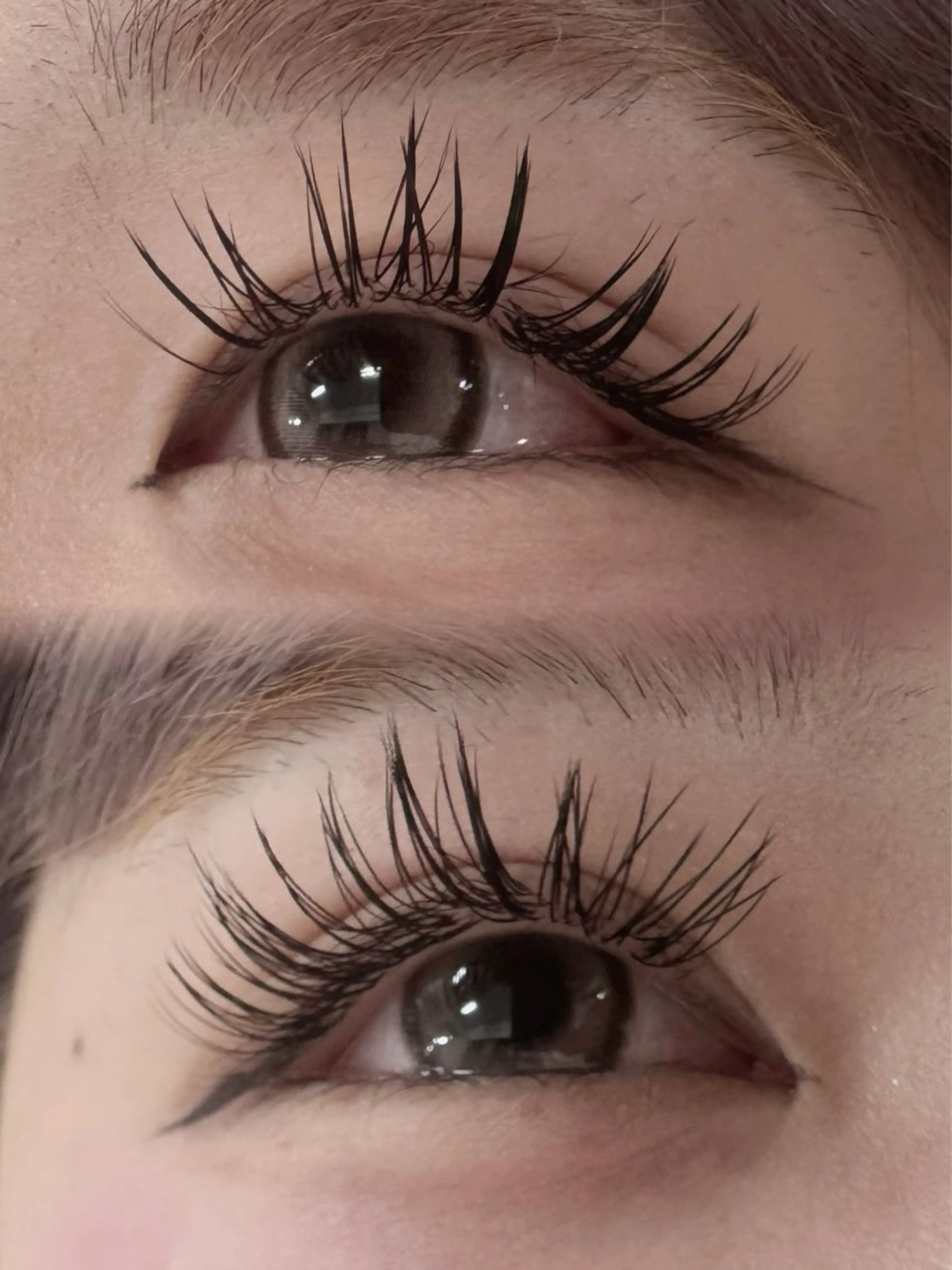 マツエク・マツパ TRU🍑 MOMOの眉毛・アイブロウイメージ