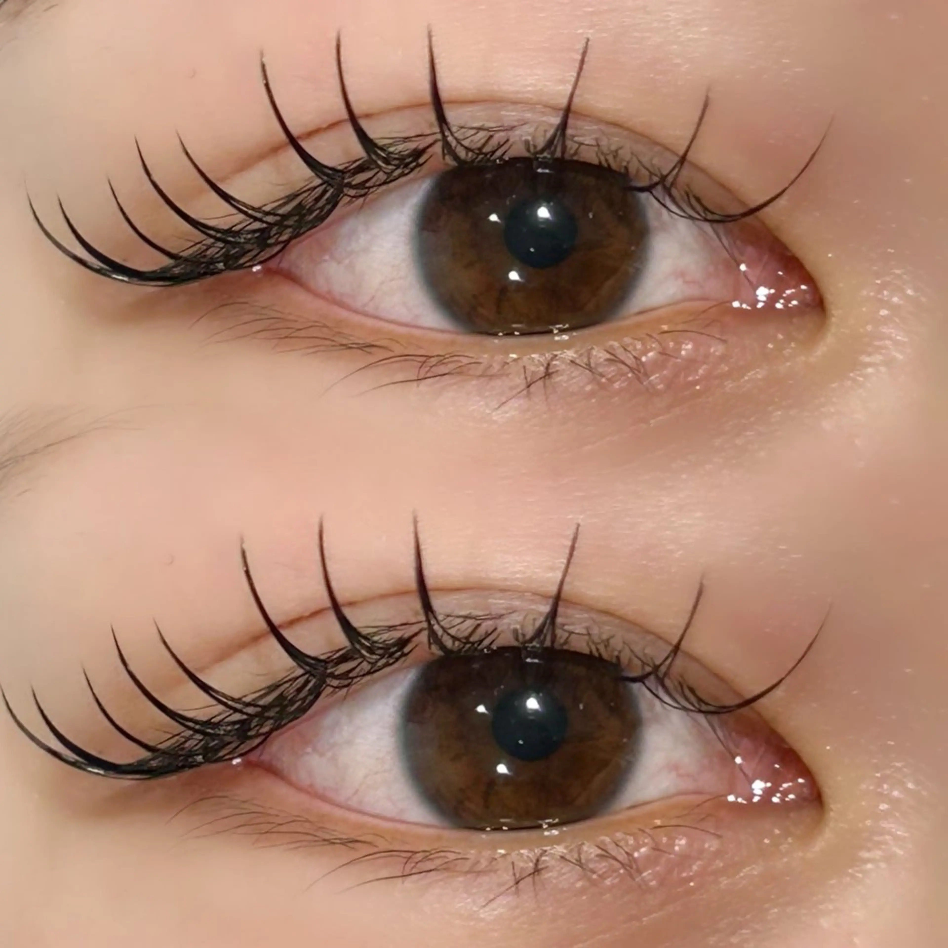 マツエク・マツパ 【TRISH】 かのん🎀🐰ྀིのマツエク・マツパデザイン