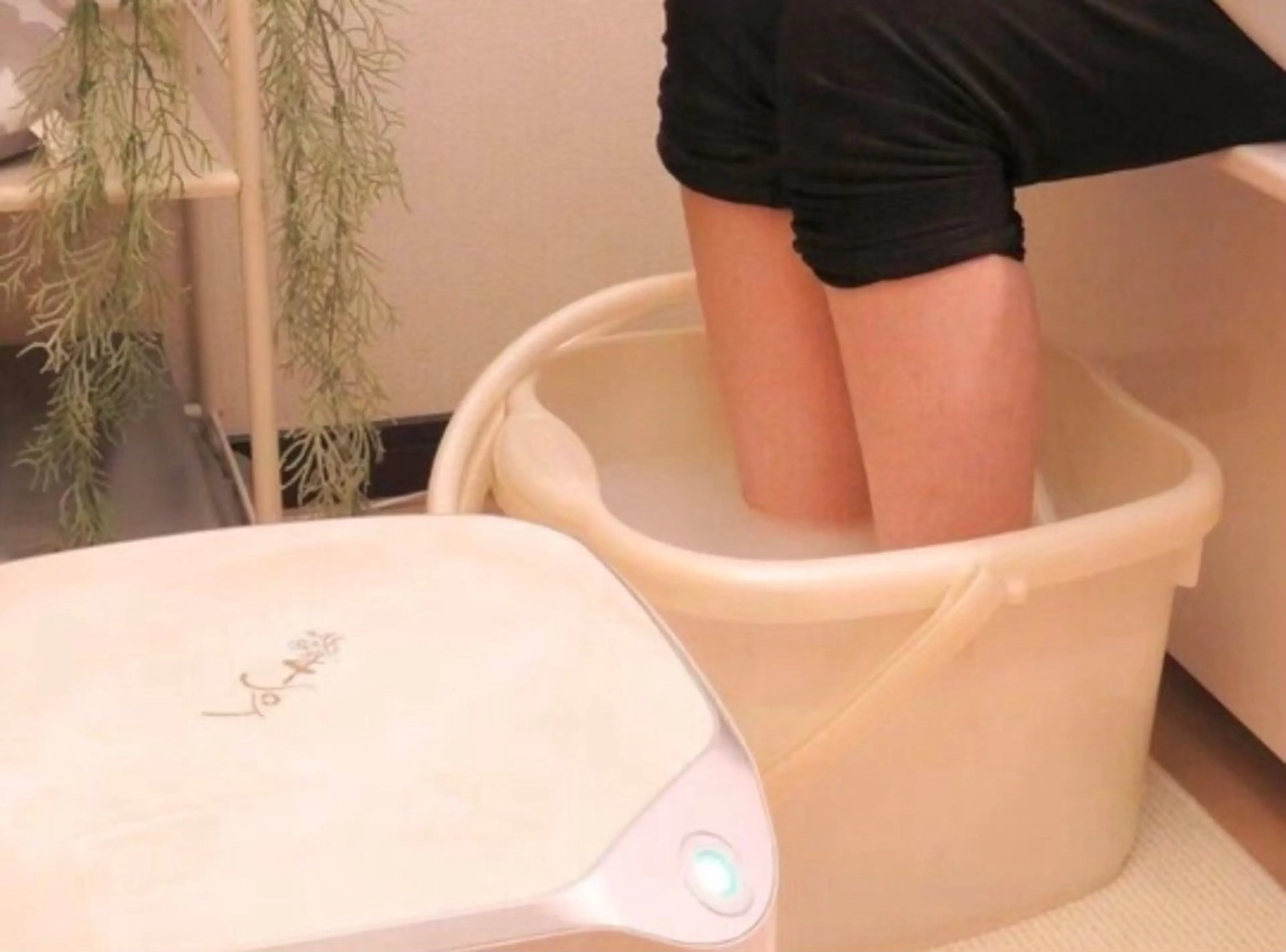 【下半身集中】スタンダードコースの写真