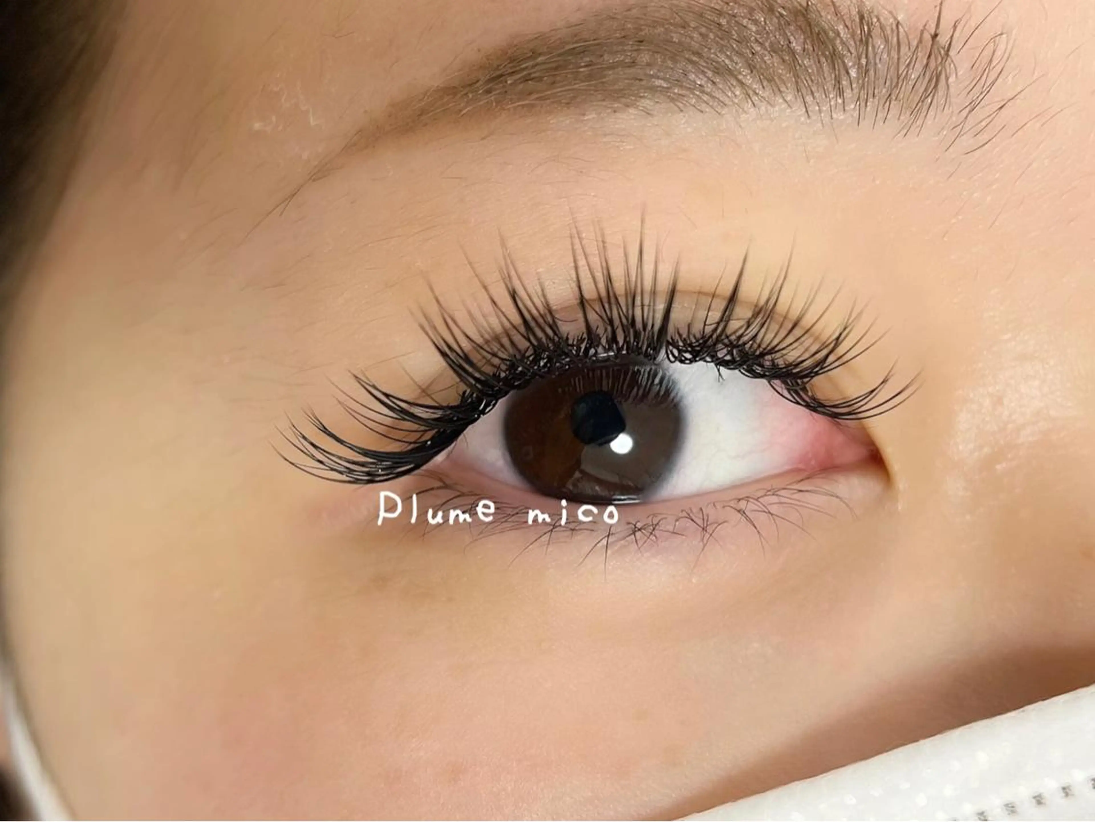 マツエク・マツパ マツエク Plume micoのマツエク・マツパデザイン