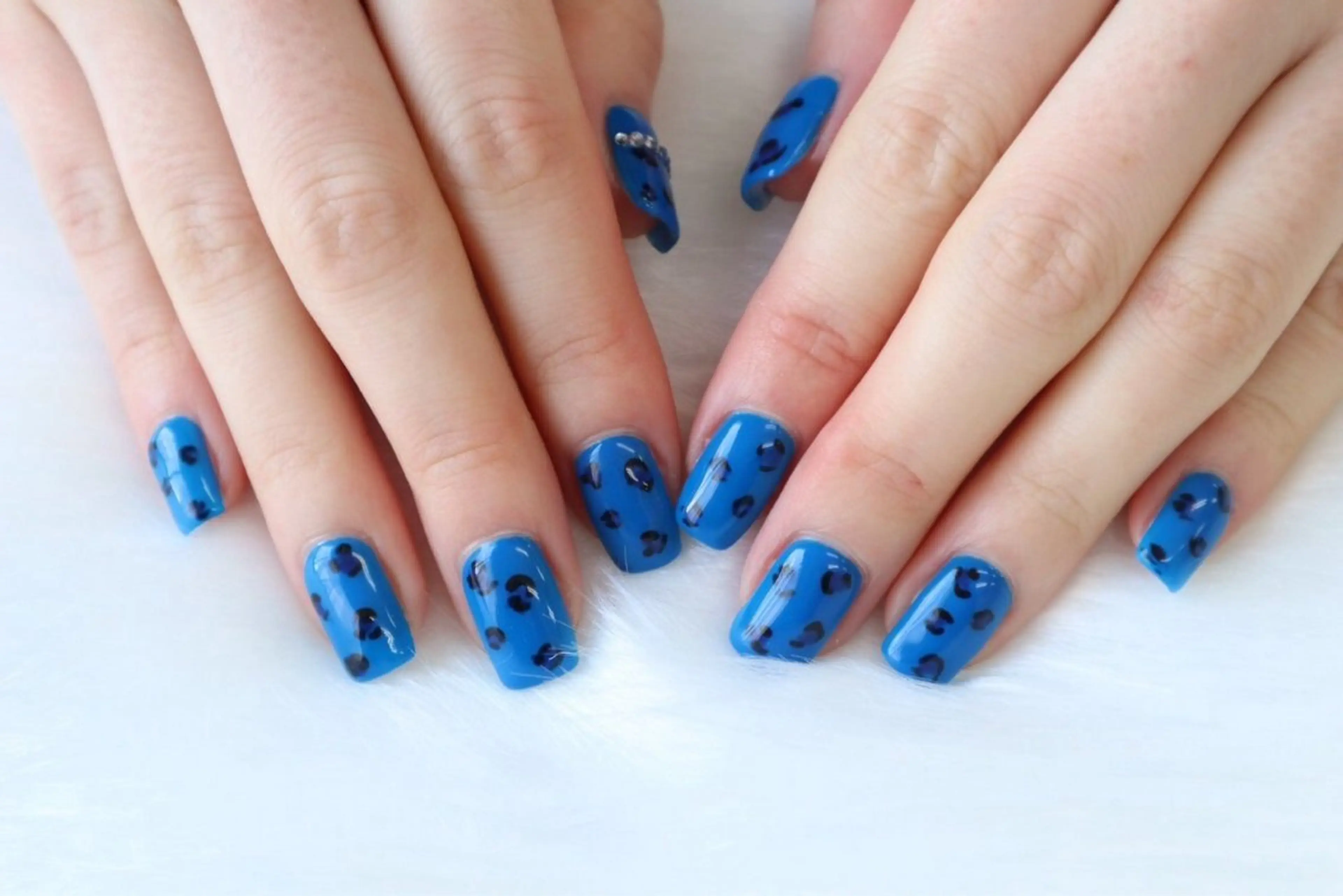 ネイル アニマル柄 ブルー カラーズビューティサロン所属・ツノスエアヤカ ／つののネイルデザイン