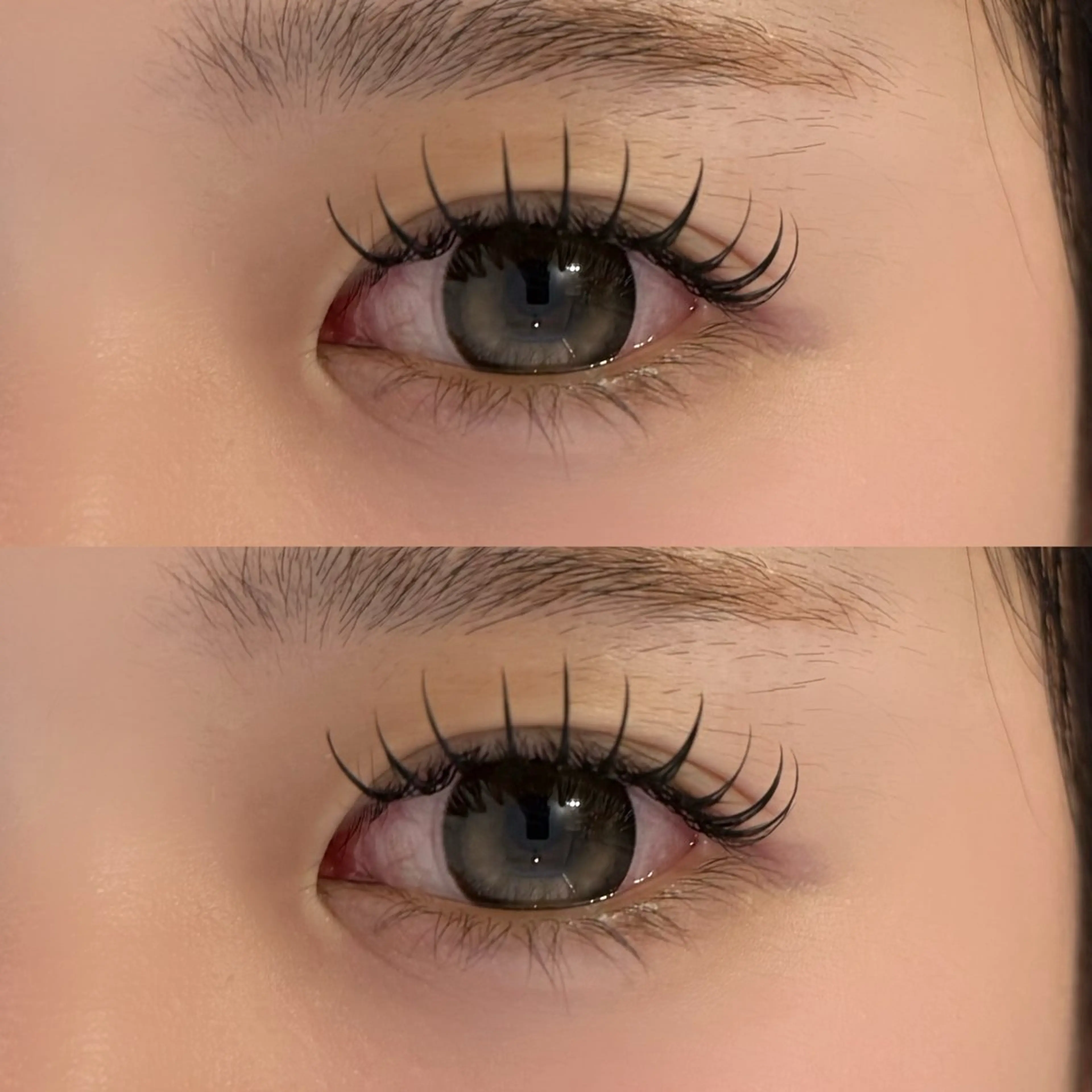 マツエク・マツパ フラットラッシュ マツエク 🐾ROAR🐾 HAZUKIのマツエク・マツパデザイン