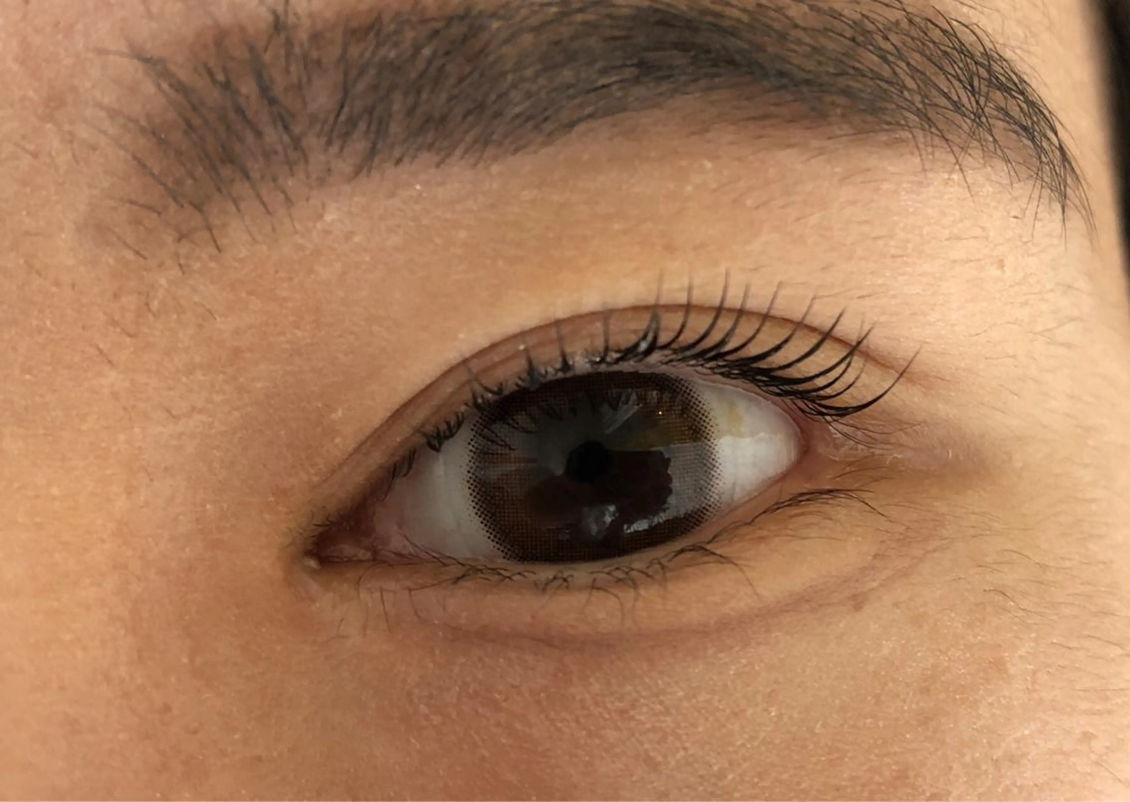 マツエク・マツパ Lifmo自由が丘店 Tの眉毛・アイブロウイメージ